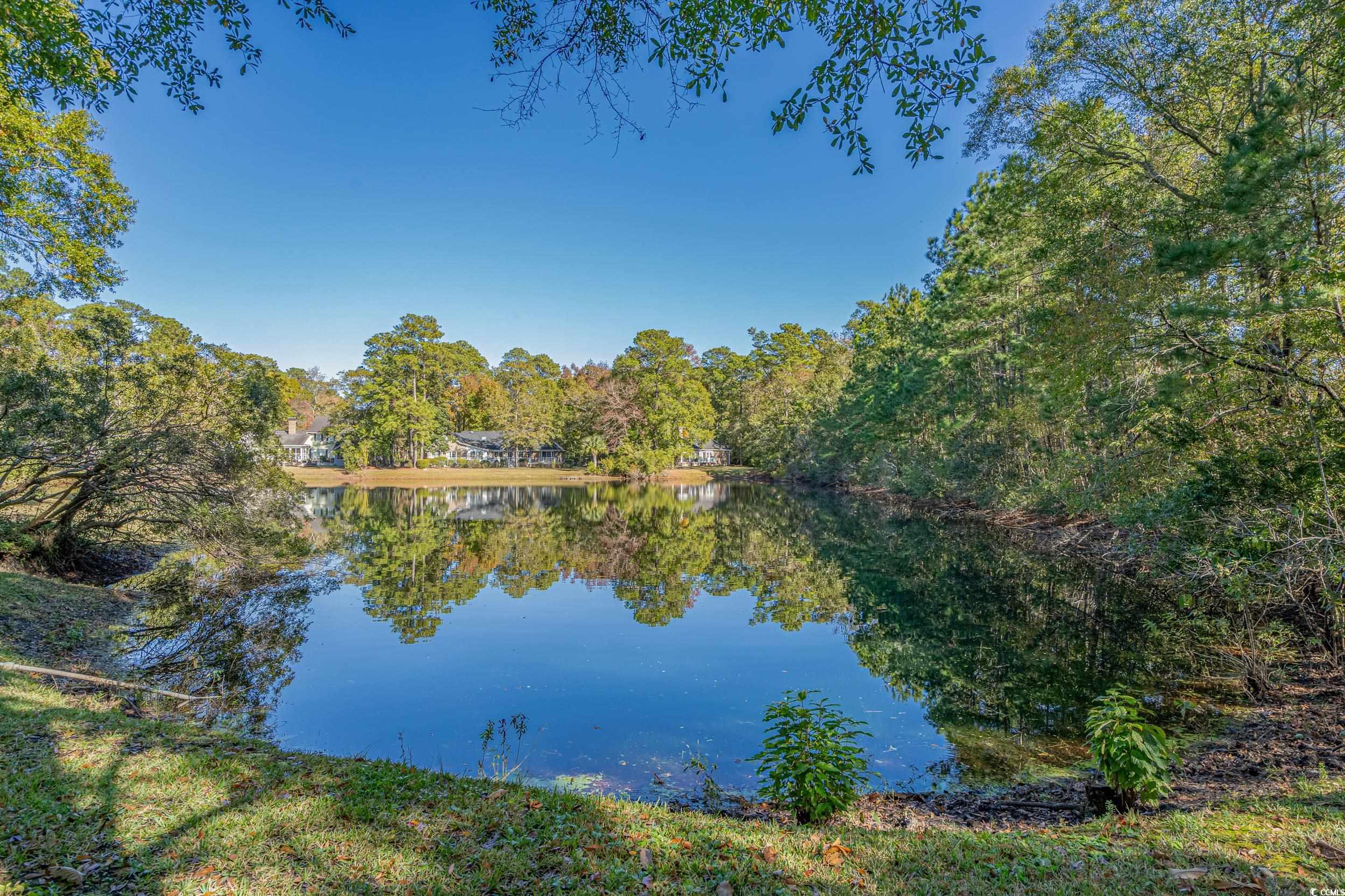 4808 Lilly Pond Dr., Murrells Inlet, South Carolina image 4