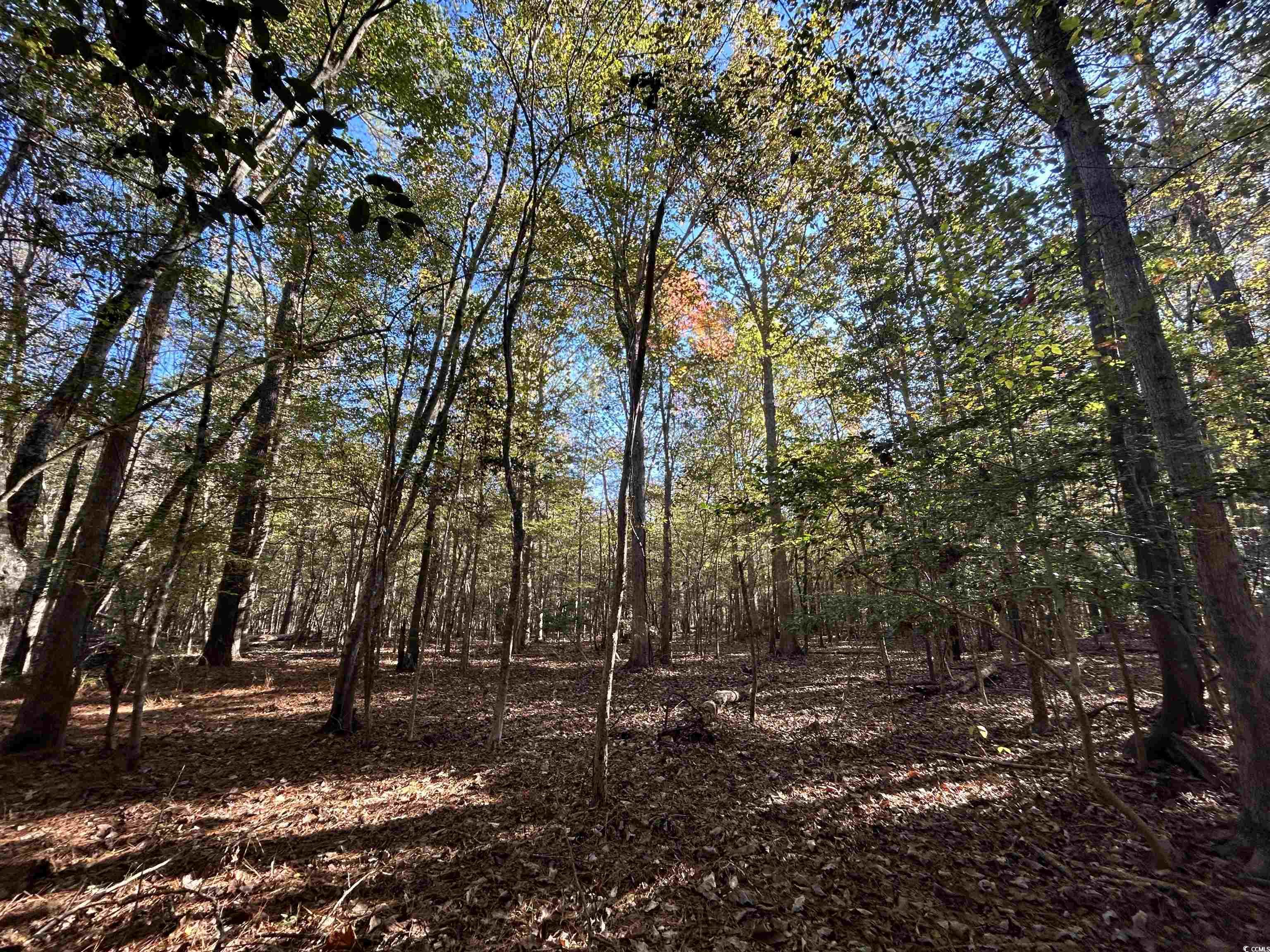 TBD Highway 9, Longs, South Carolina image 7