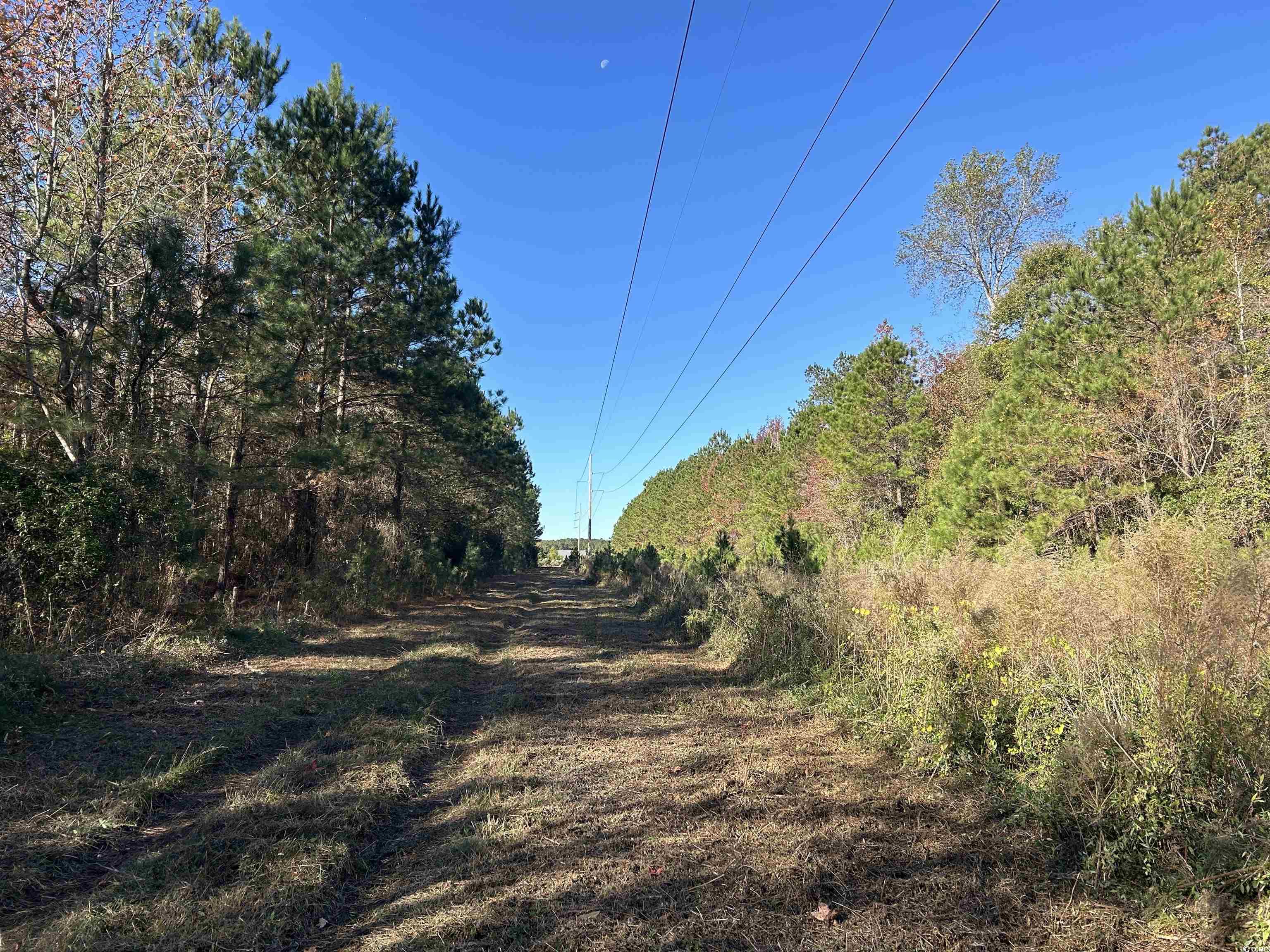 TBD Highway 9, Longs, South Carolina image 9