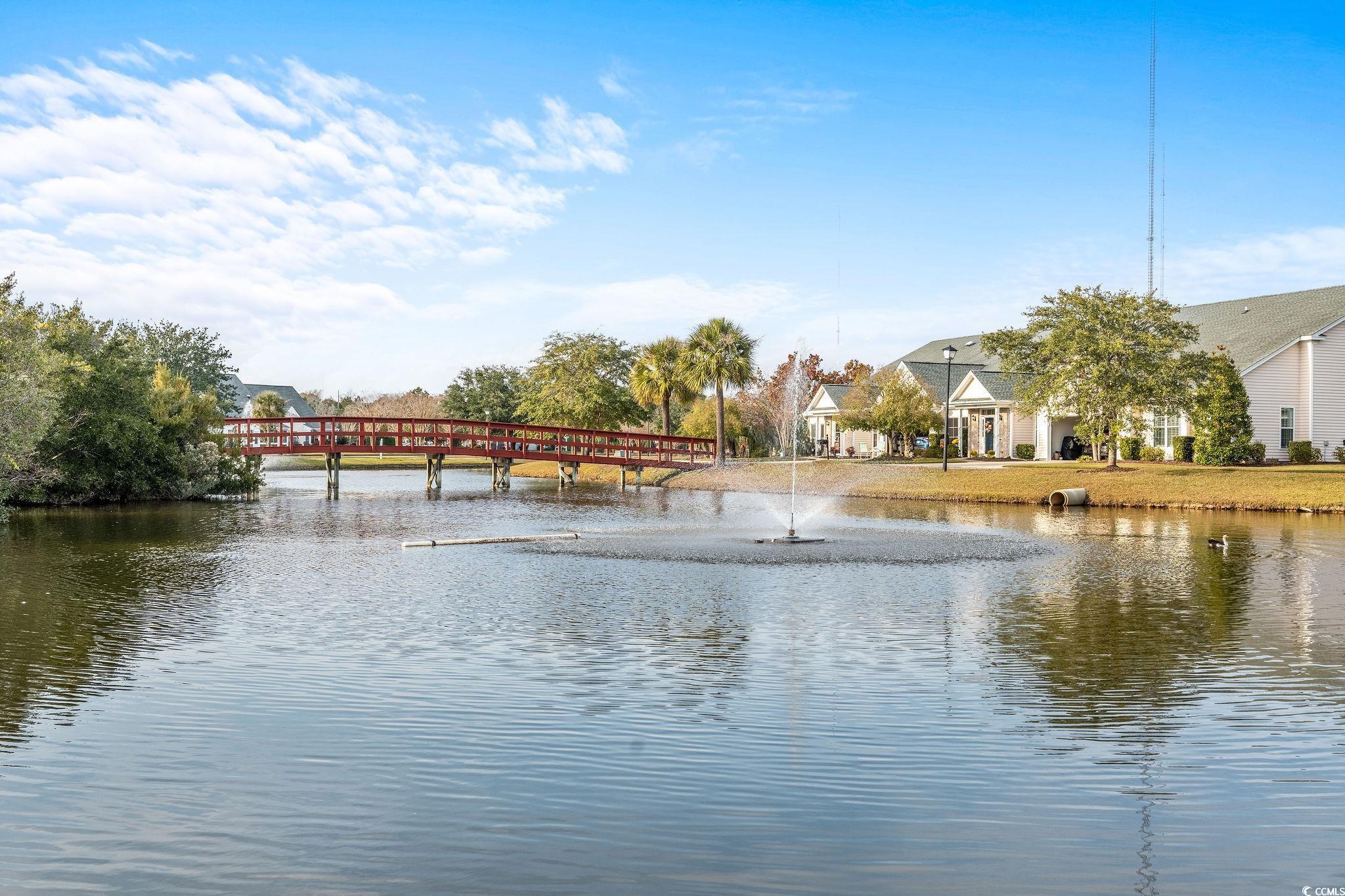 140 Wimbledon Way #140, Murrells Inlet, South Carolina image 22