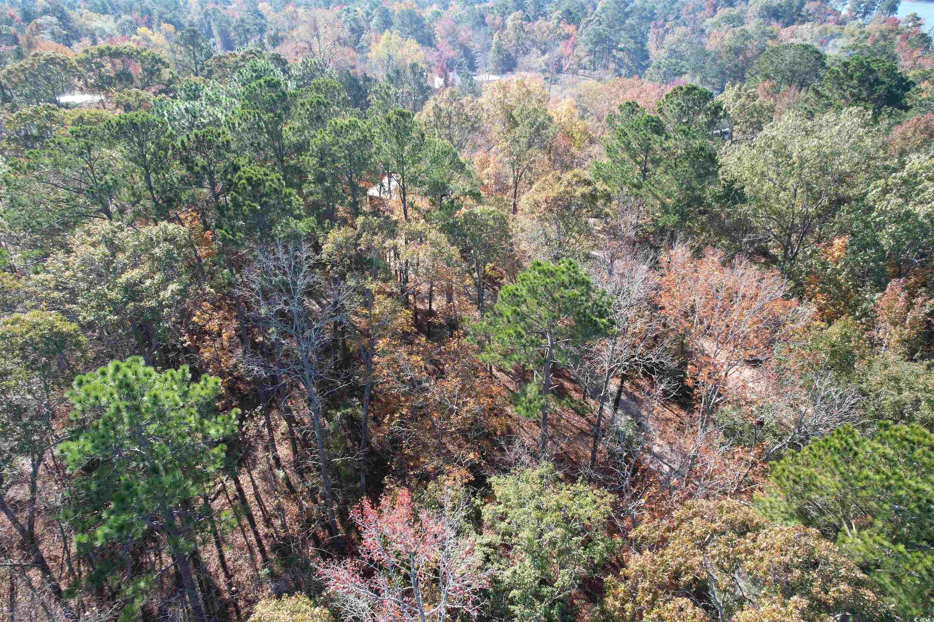TBD Charles Dr. Manning, SC 29102