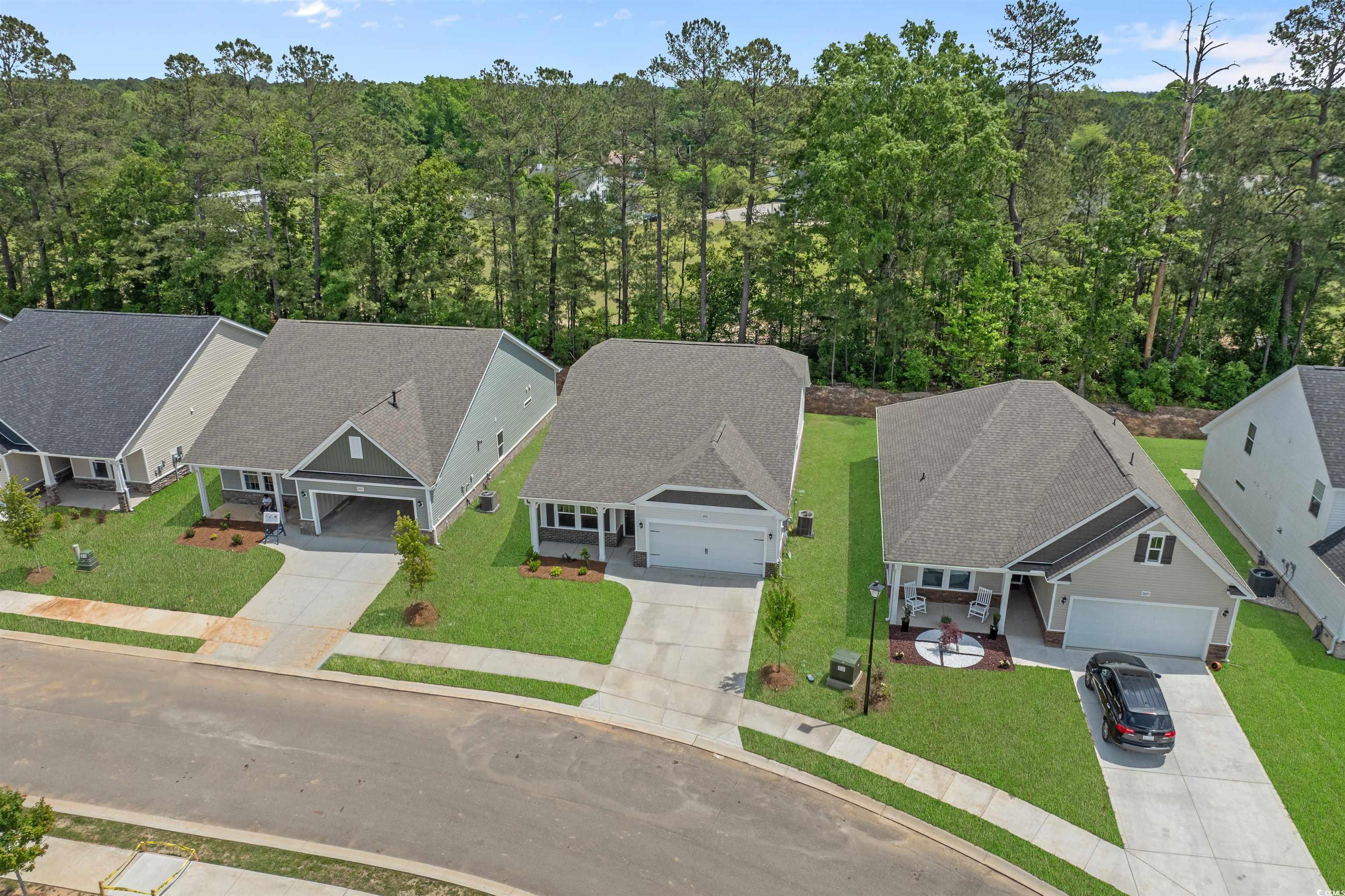2441 Campton Loop, Conway, South Carolina image 2