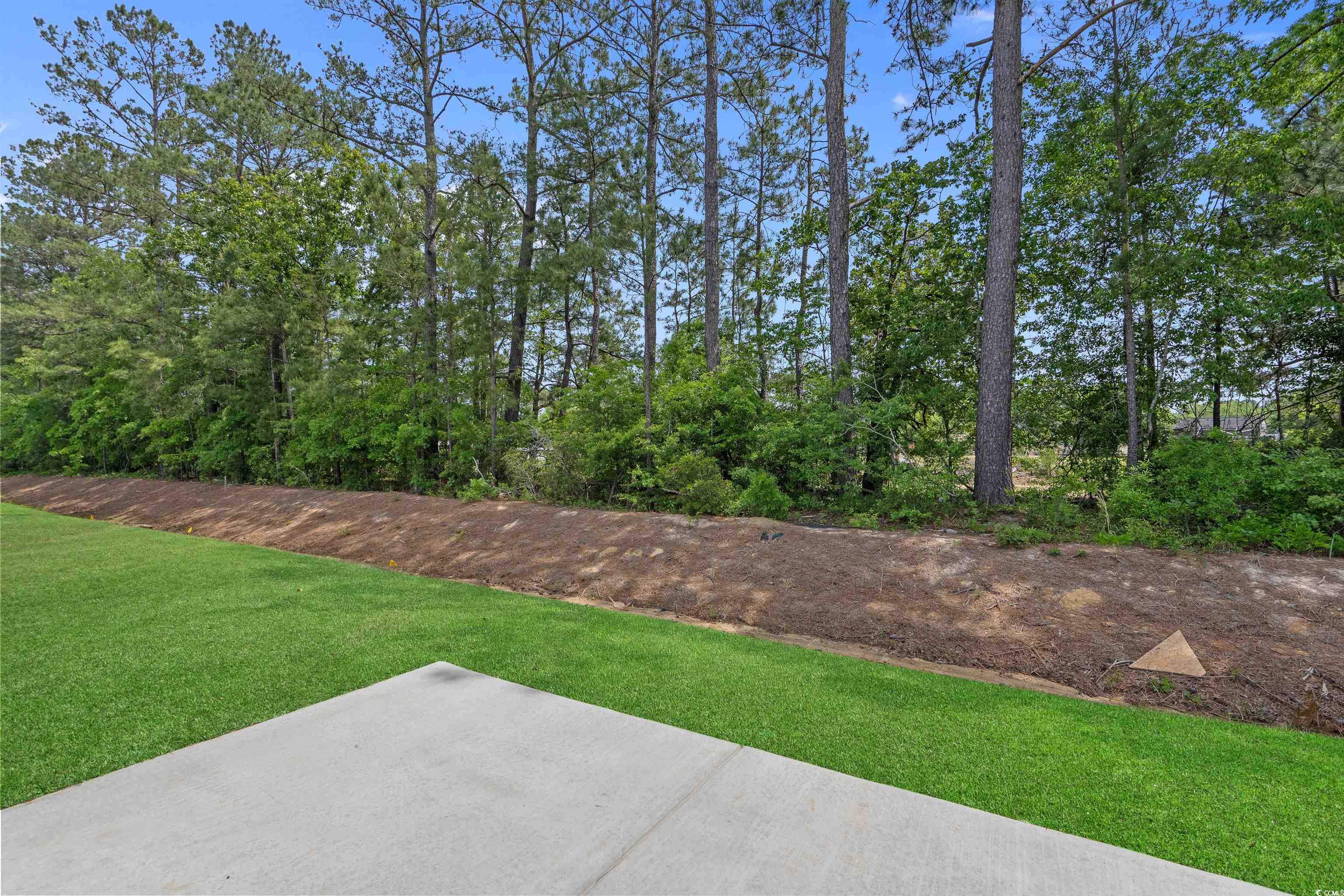 2441 Campton Loop, Conway, South Carolina image 26
