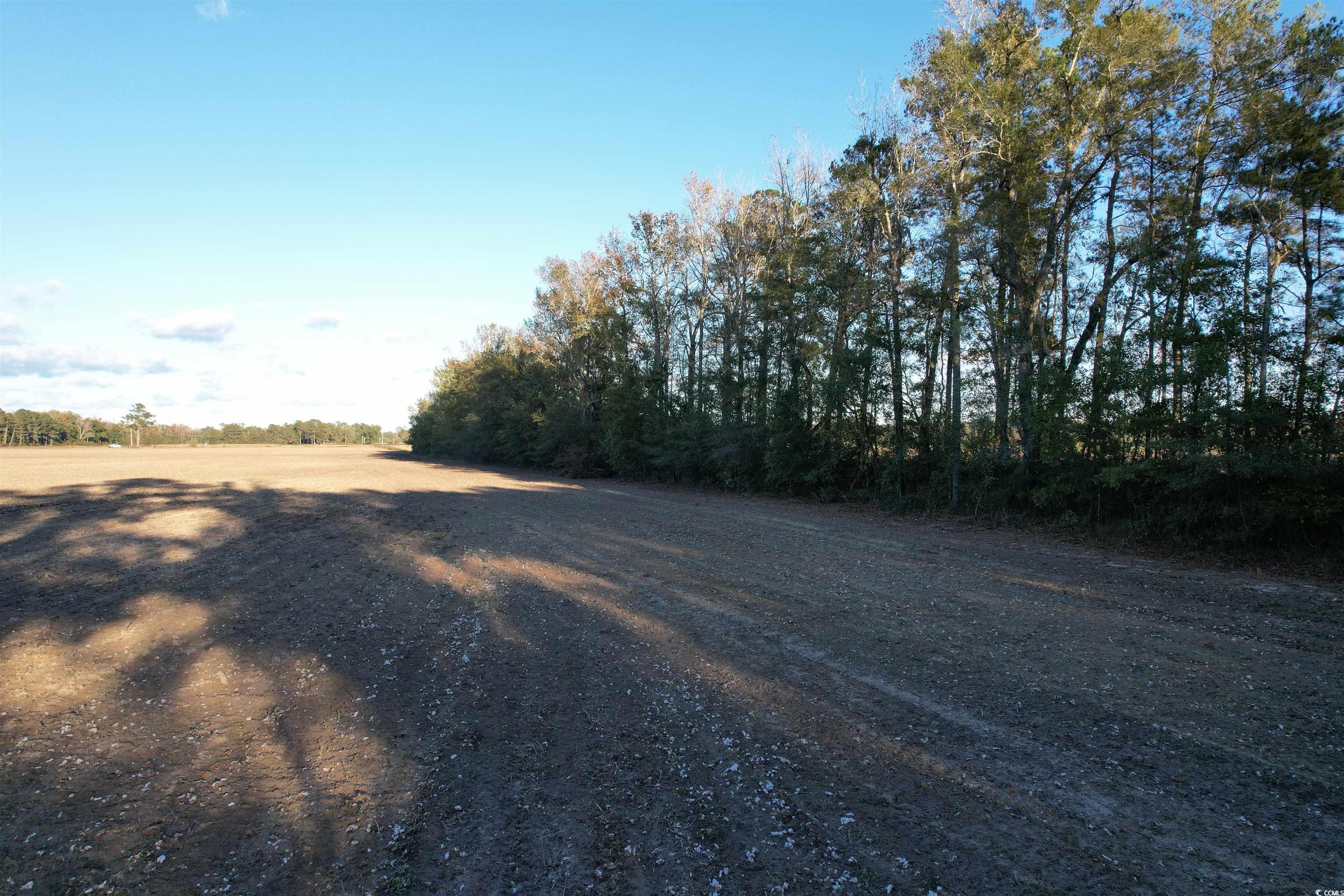 15.98 Acres-TBD Williamson Rd., Hemingway, South Carolina image 10