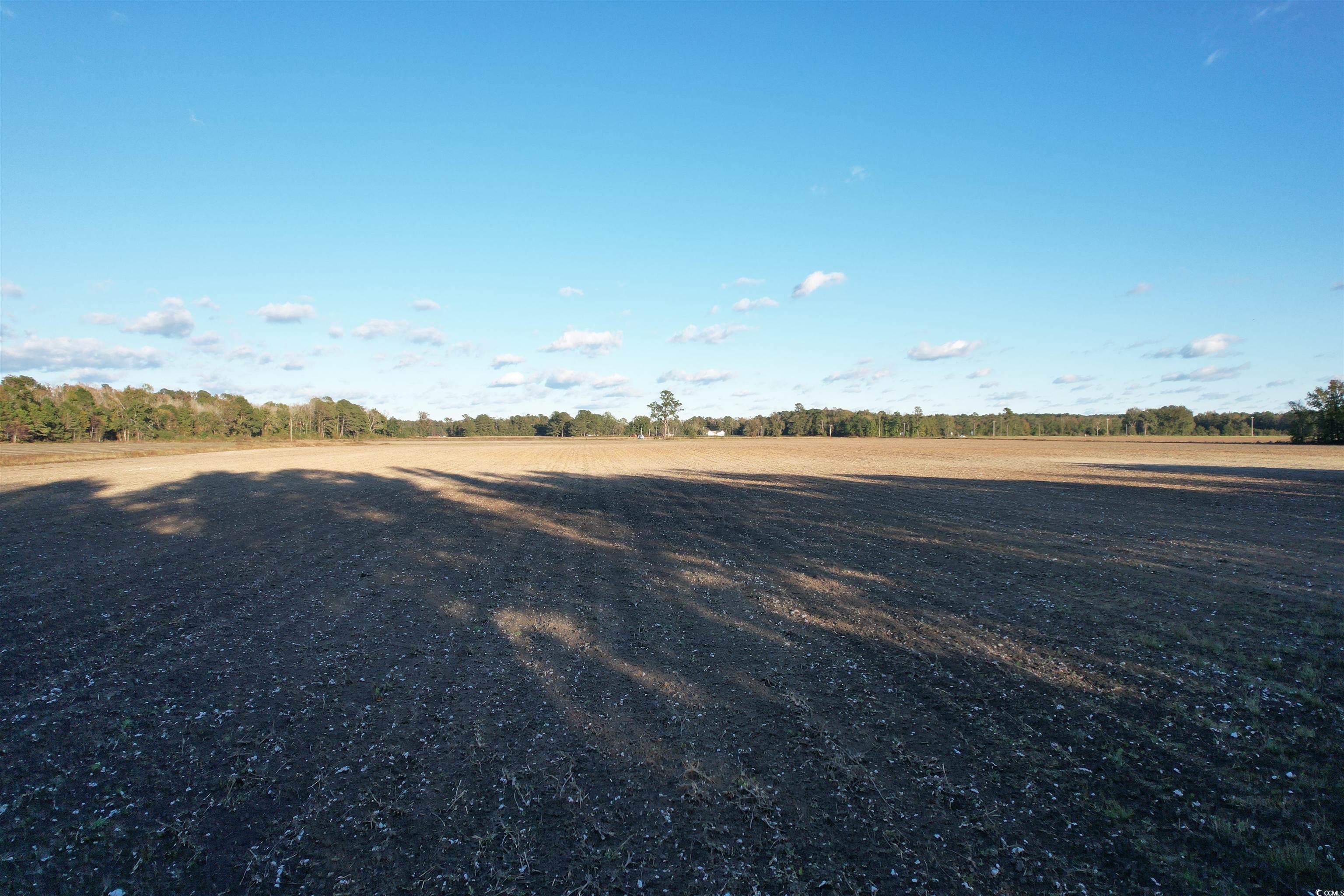 15.98 Acres-TBD Williamson Rd., Hemingway, South Carolina image 14