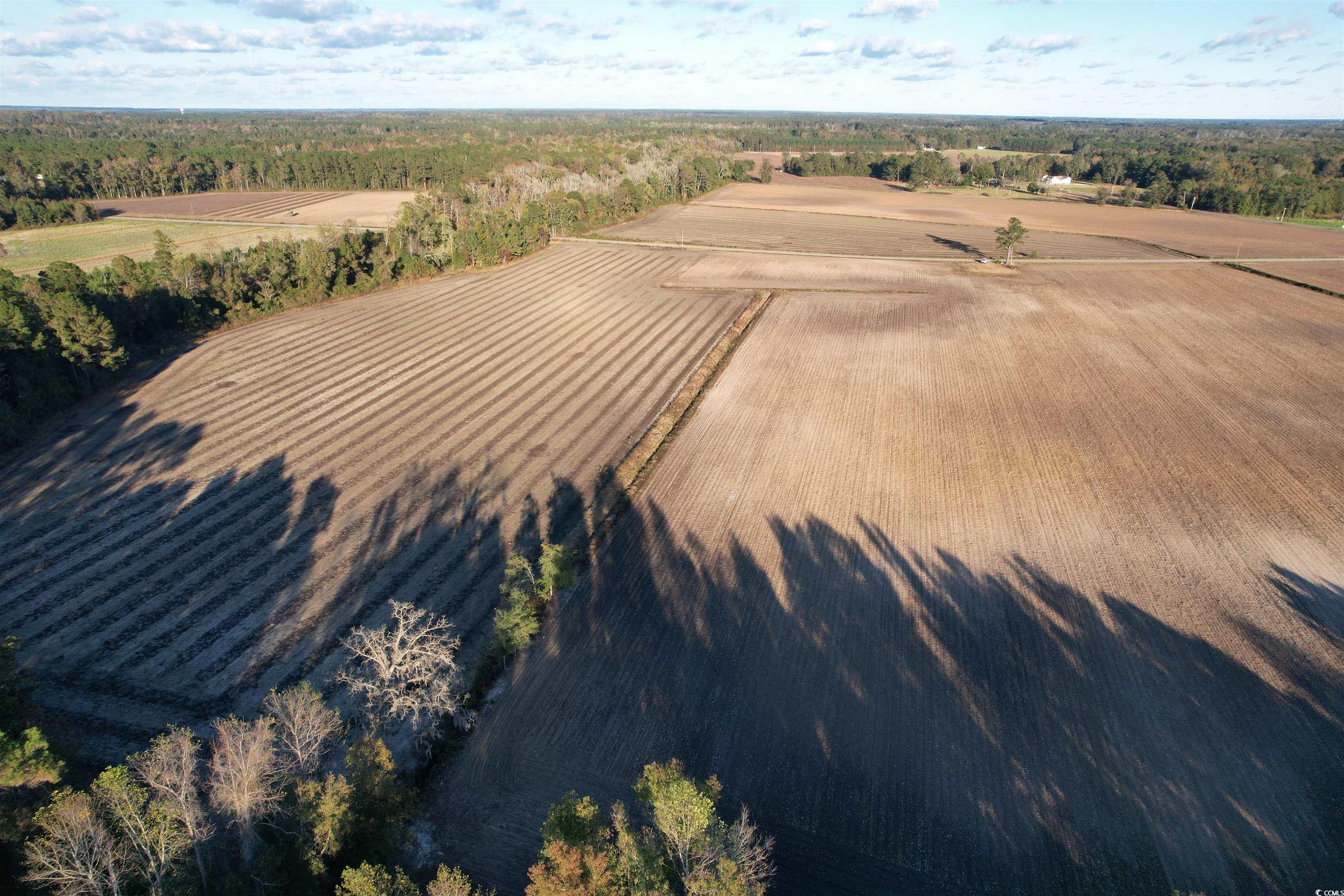 15.98 Acres-TBD Williamson Rd., Hemingway, South Carolina image 16