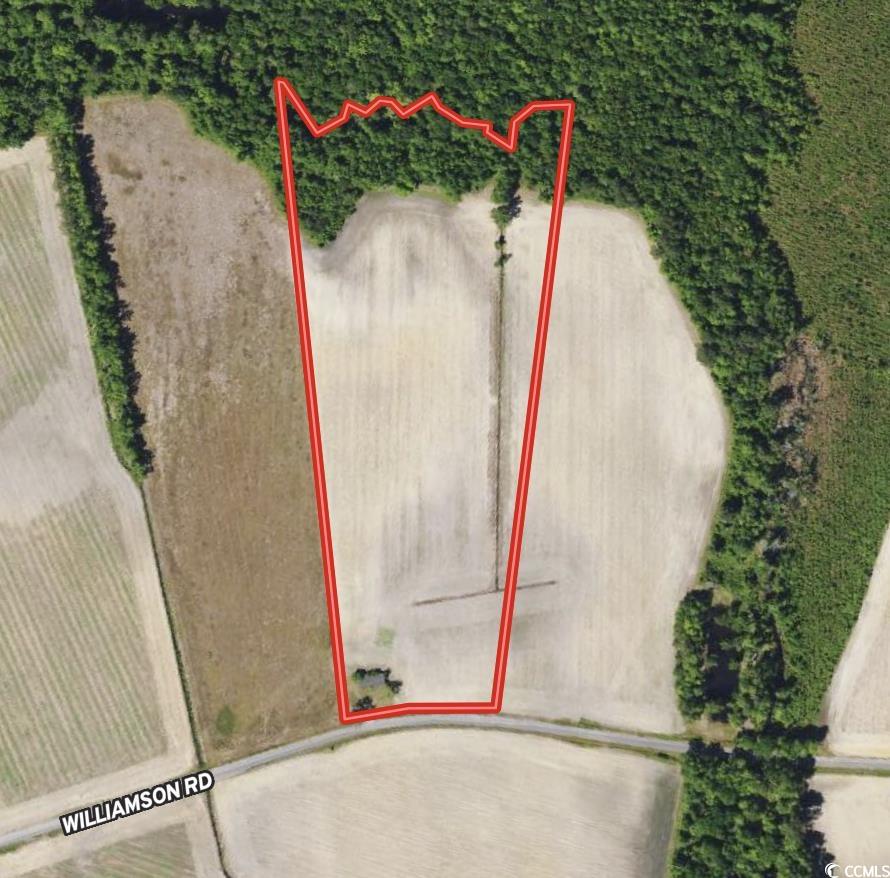 15.98 Acres-TBD Williamson Rd., Hemingway, South Carolina image 19