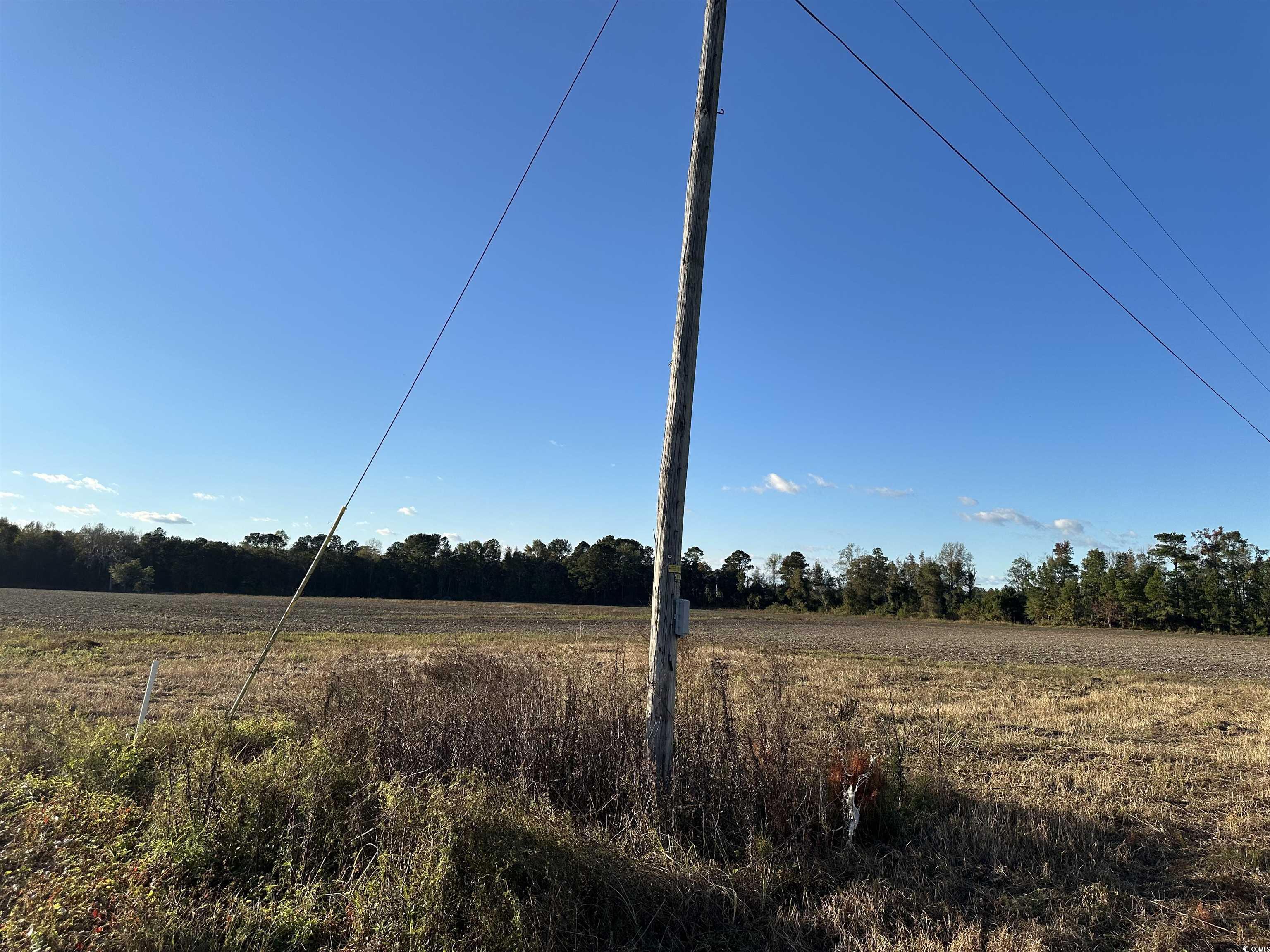 15.98 Acres-TBD Williamson Rd., Hemingway, South Carolina image 4