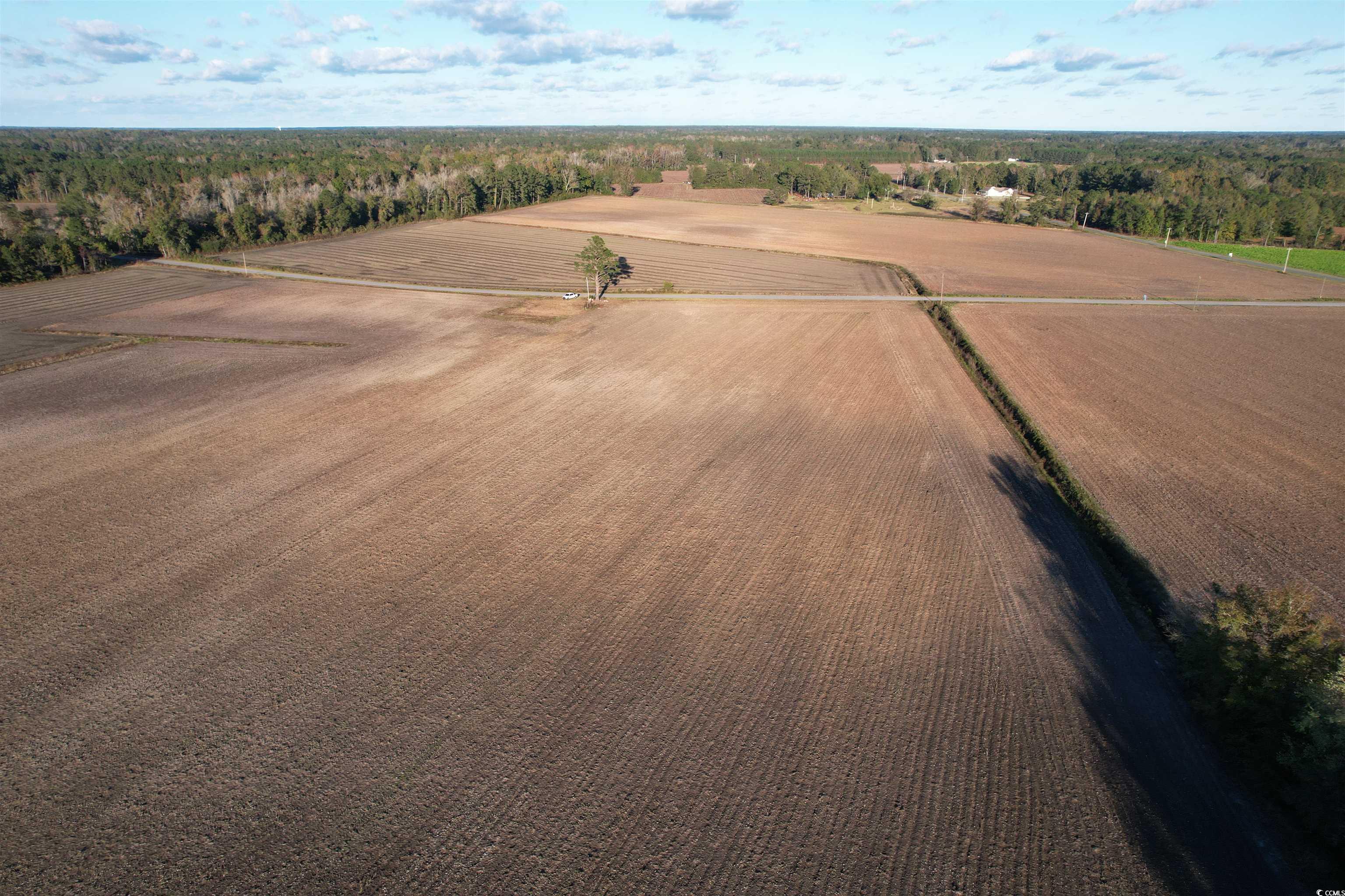 15.98 Acres-TBD Williamson Rd., Hemingway, South Carolina image 7