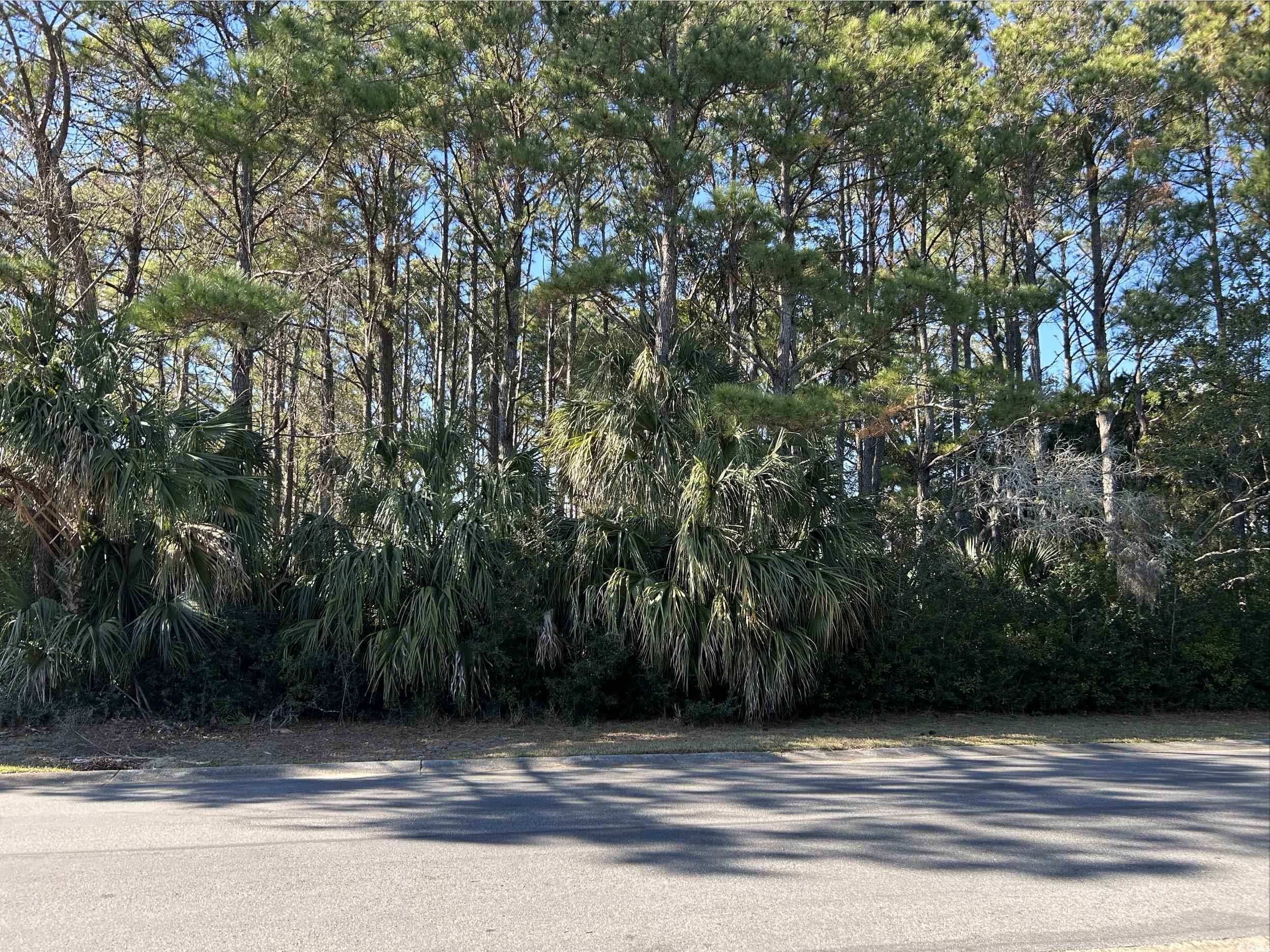 Lot 17 Dune Oaks Dr., Georgetown, South Carolina image 1