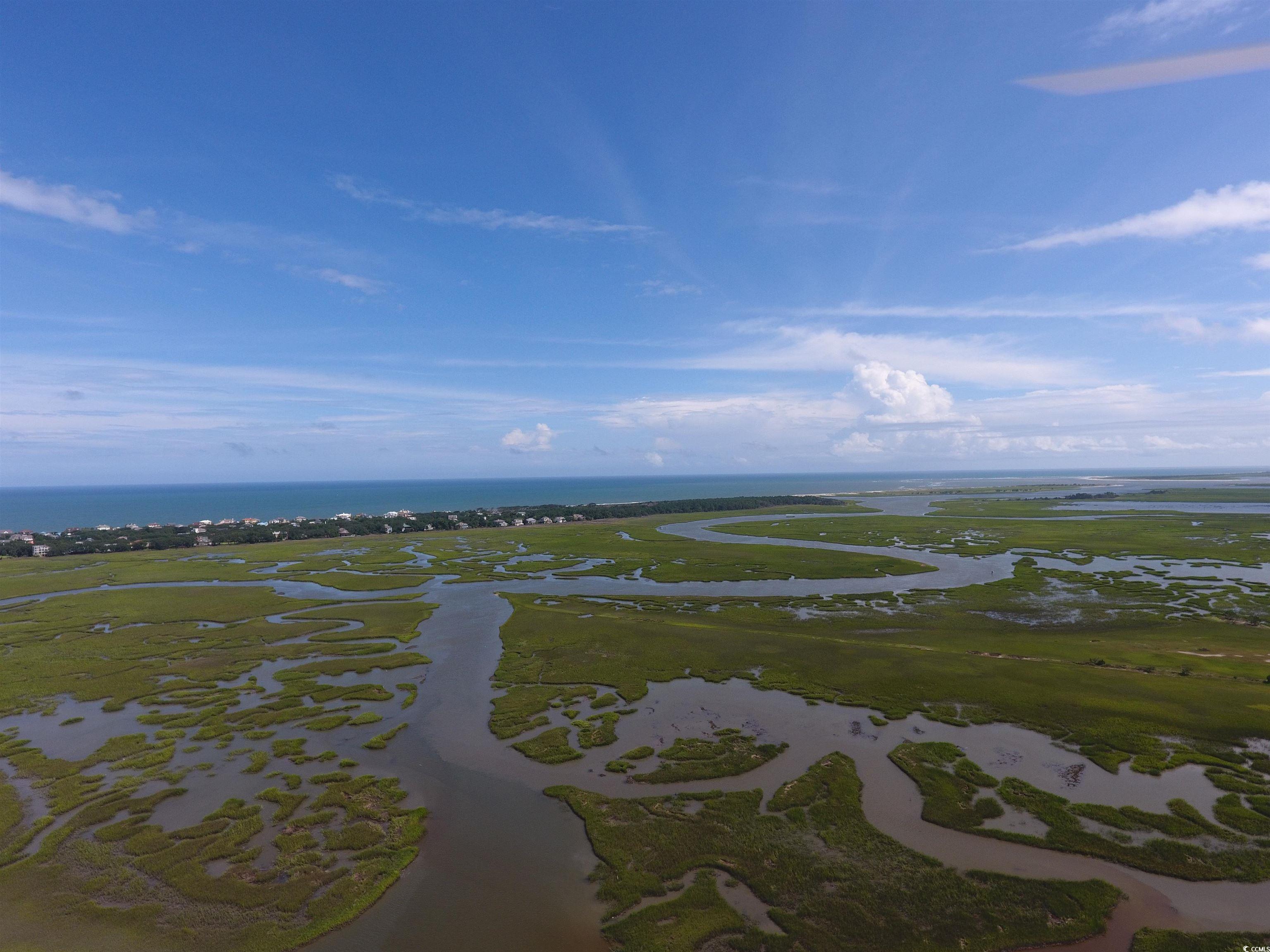 Lot 17 Dune Oaks Dr., Georgetown, South Carolina image 4