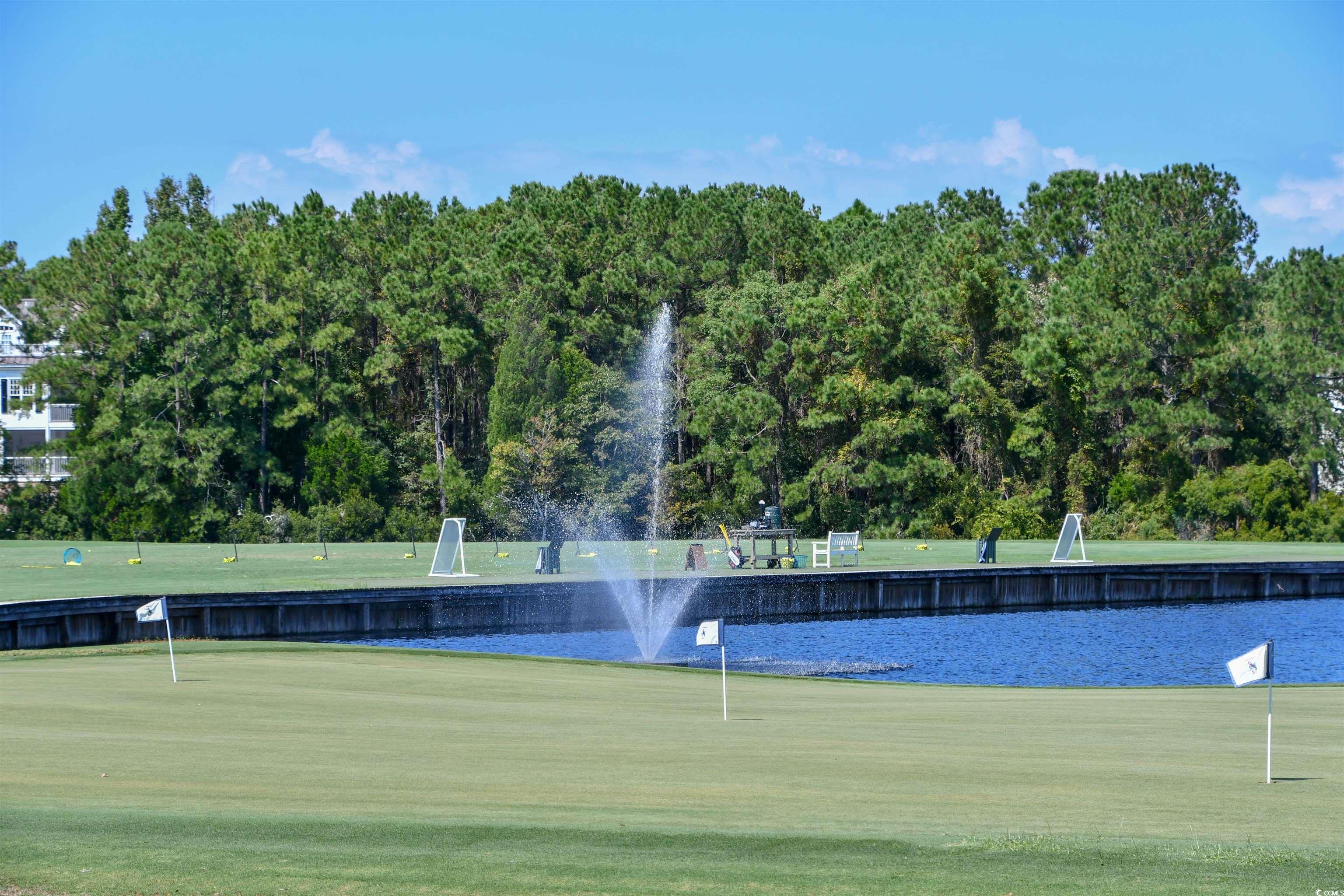 Lot 17 Dune Oaks Dr., Georgetown, South Carolina image 8