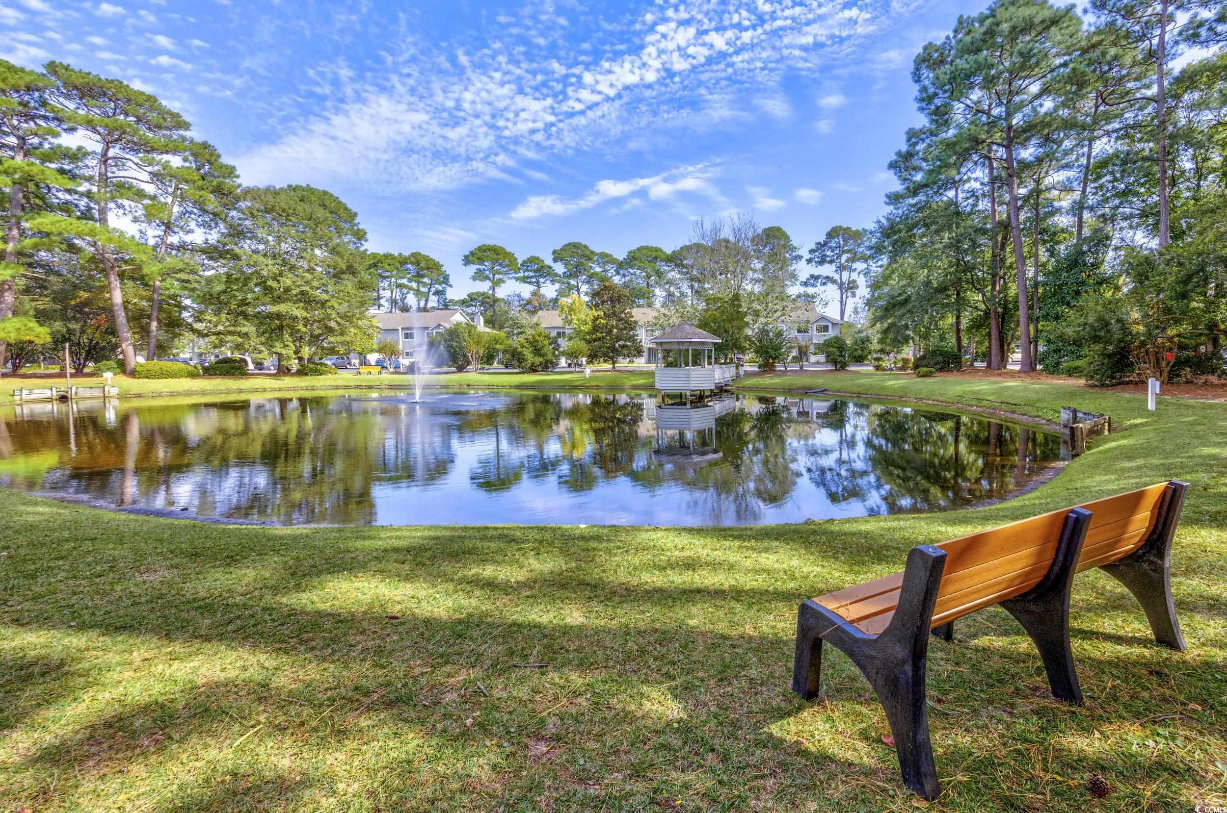 86 Shadow Moss Pl. #86, North Myrtle Beach, South Carolina image 36