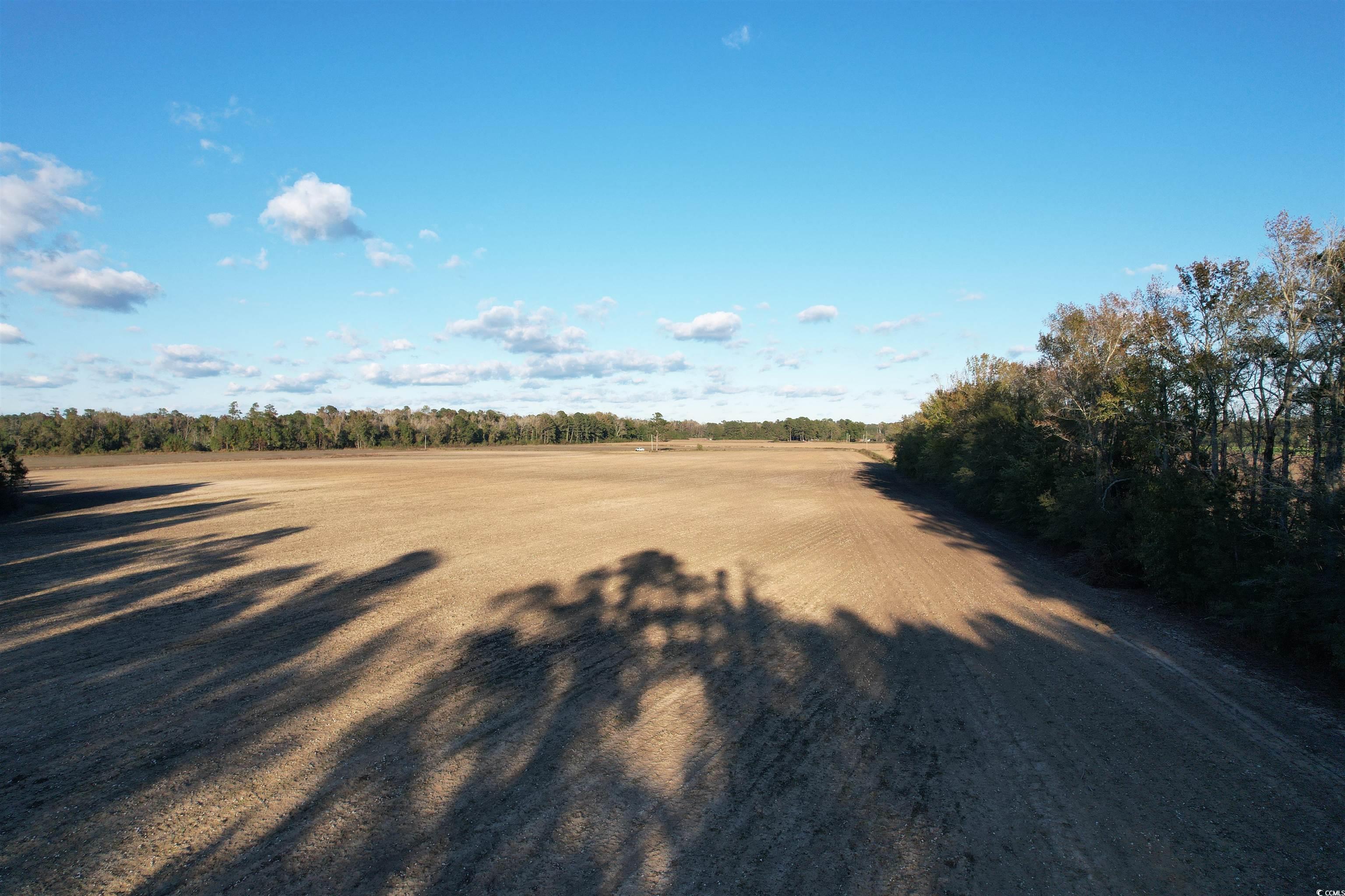 15.98 Acres-TBD Williamson Rd., Hemingway, South Carolina image 2