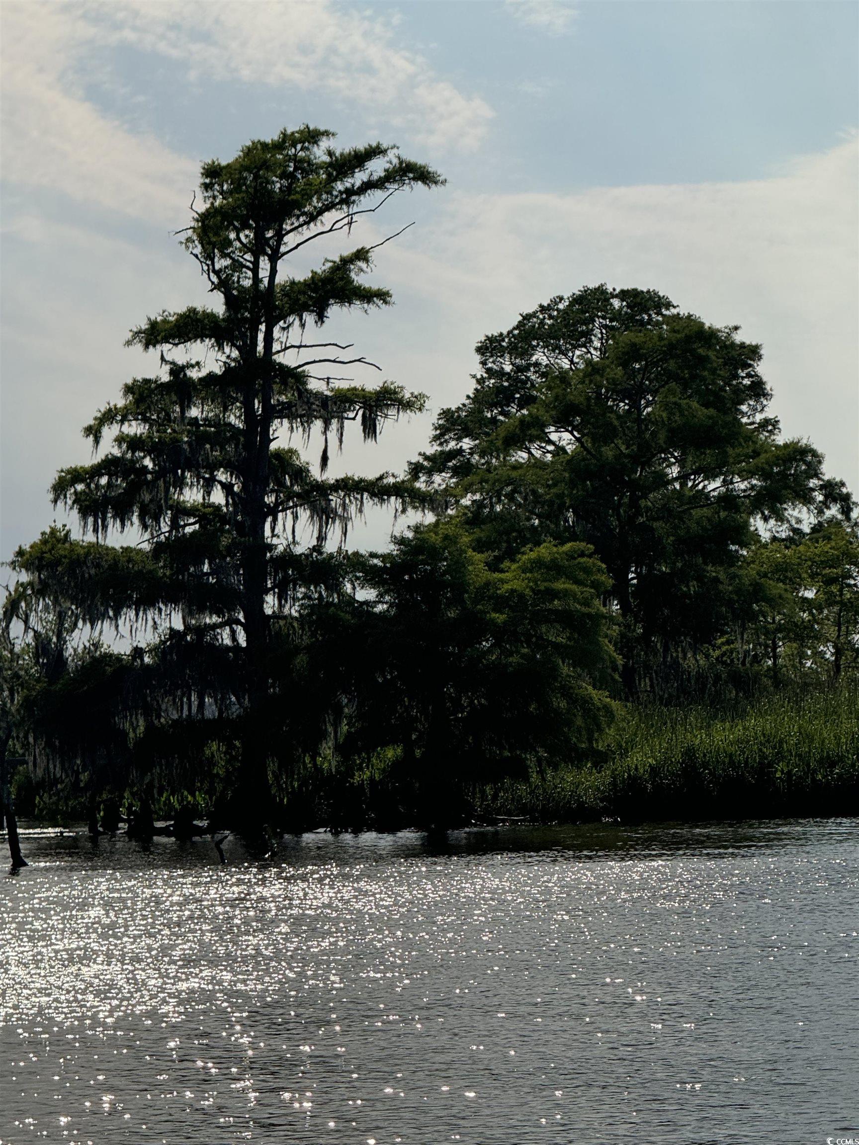 Lot 11 Leadwood St., Andrews, South Carolina image 8