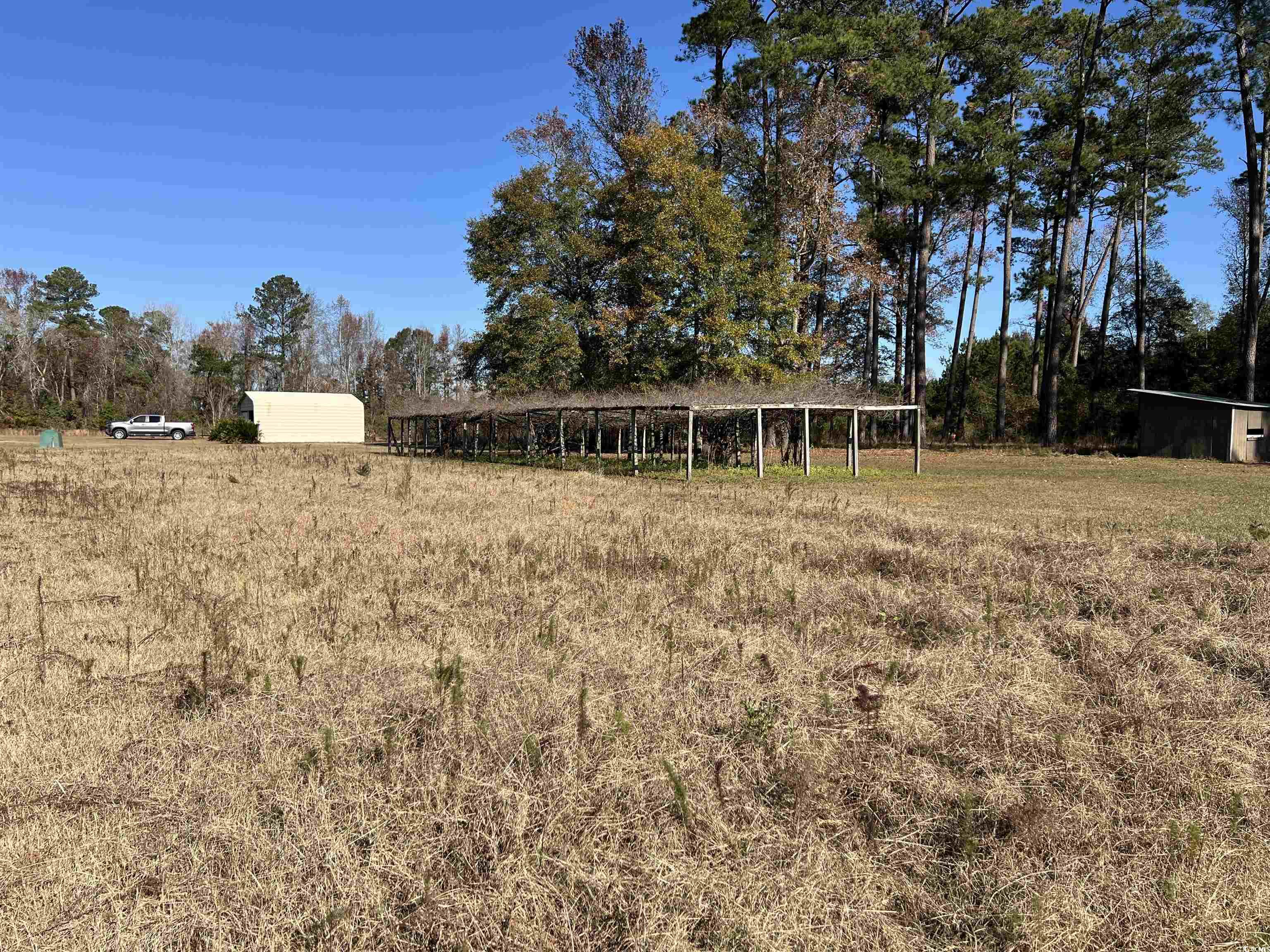 3951 Highway 319, Aynor, South Carolina image 31