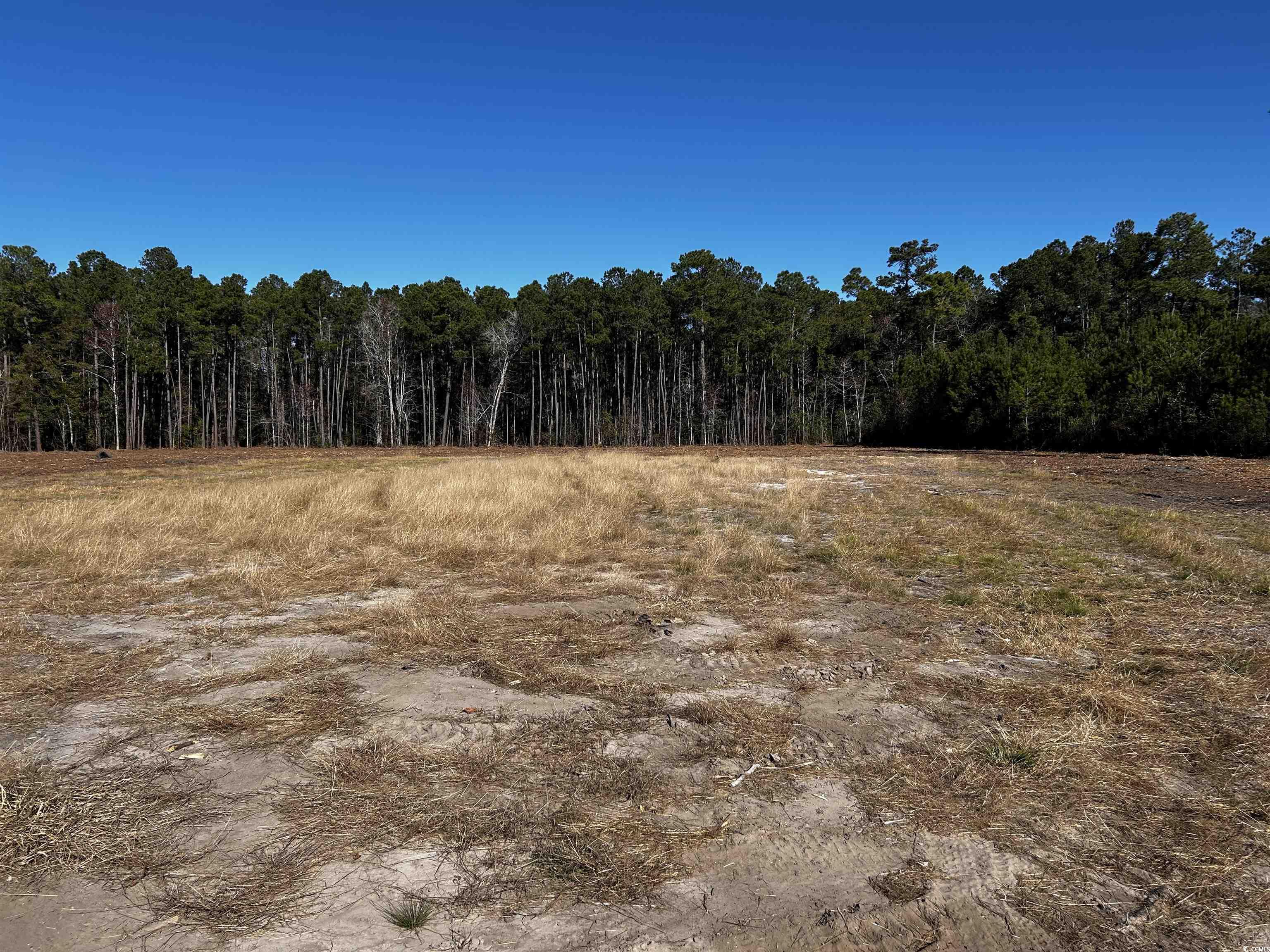 294 Sandy Bluff Rd., Green Sea, South Carolina image 10