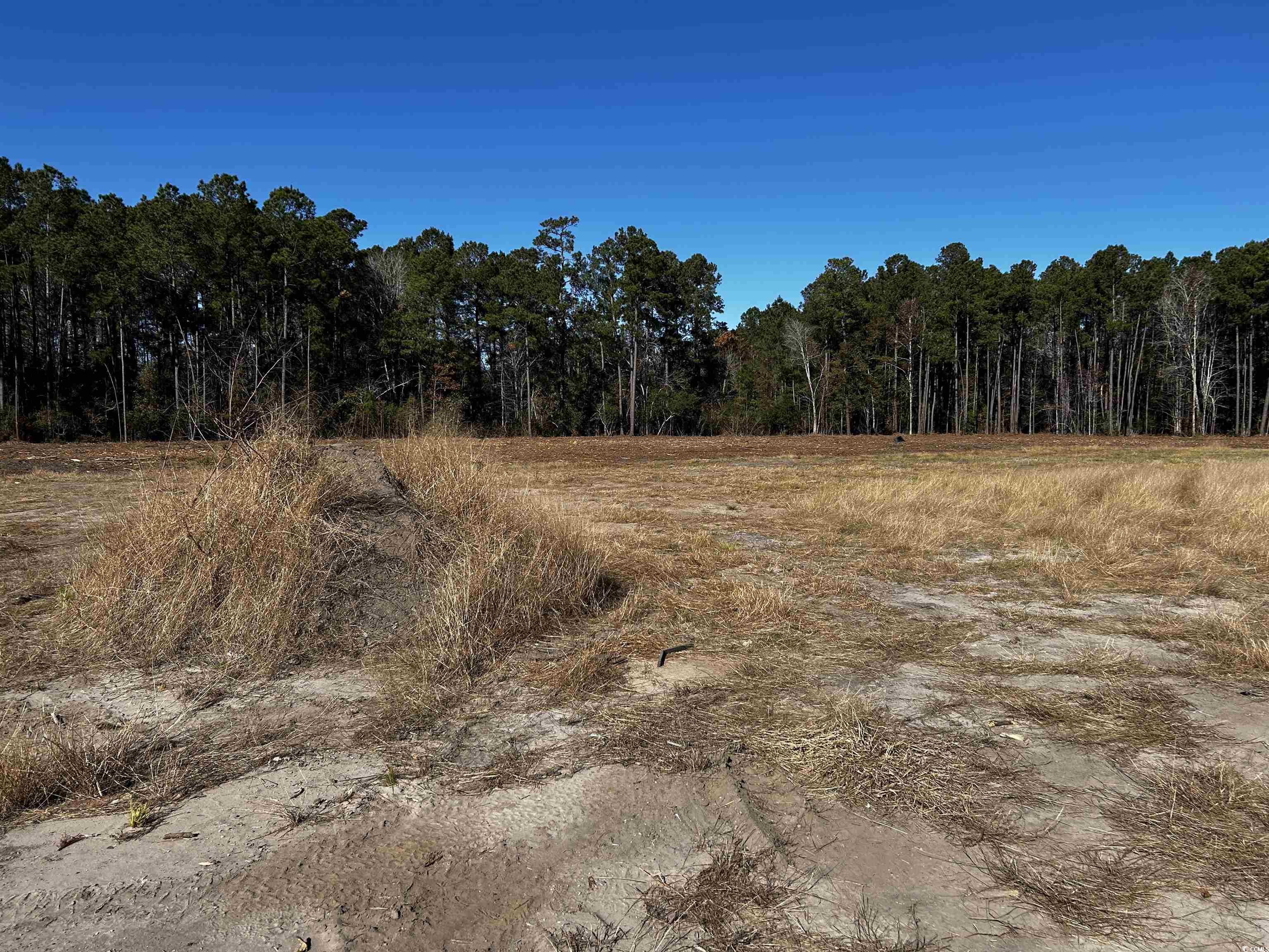 294 Sandy Bluff Rd., Green Sea, South Carolina image 13