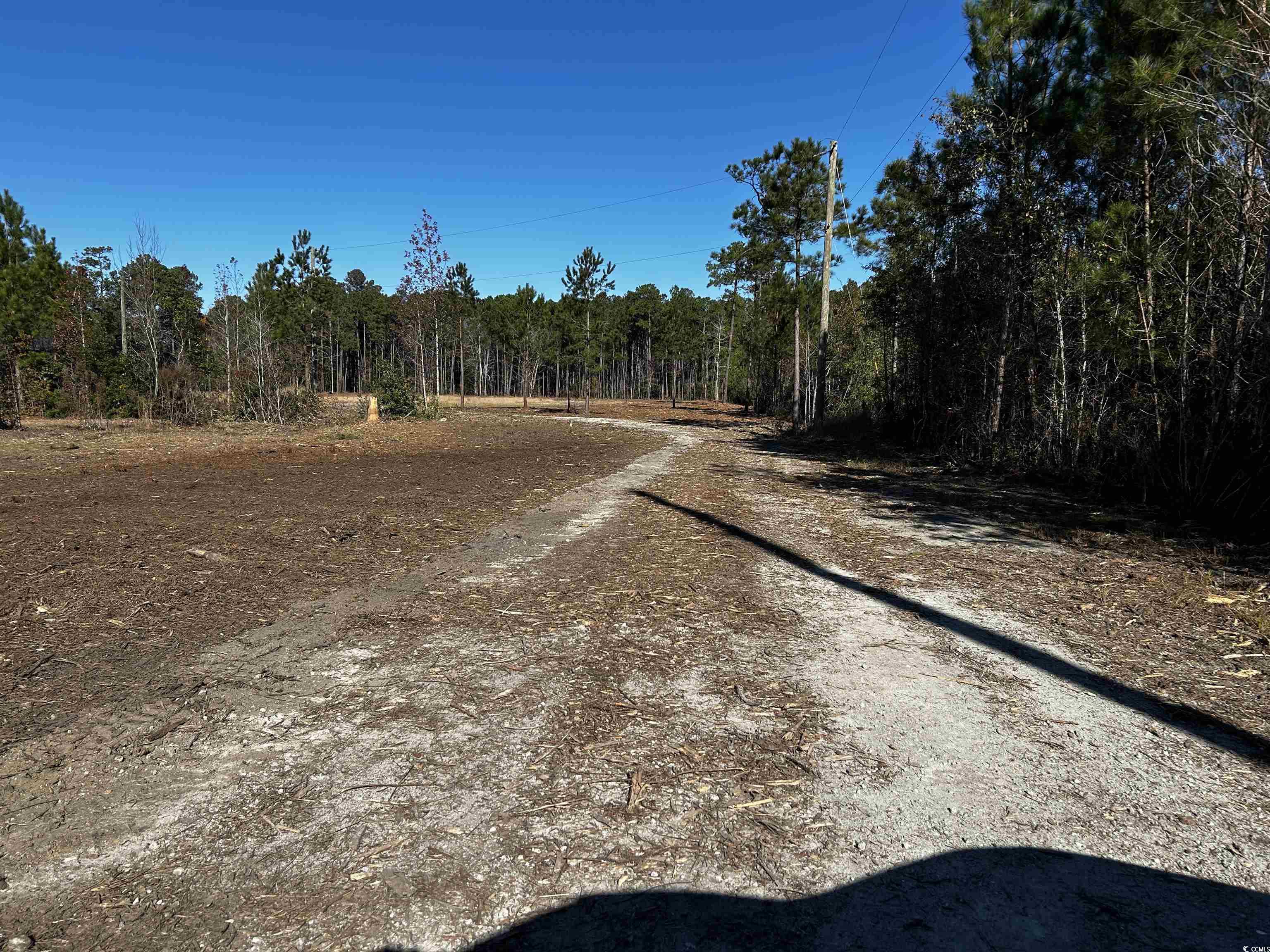 294 Sandy Bluff Rd., Green Sea, South Carolina image 6