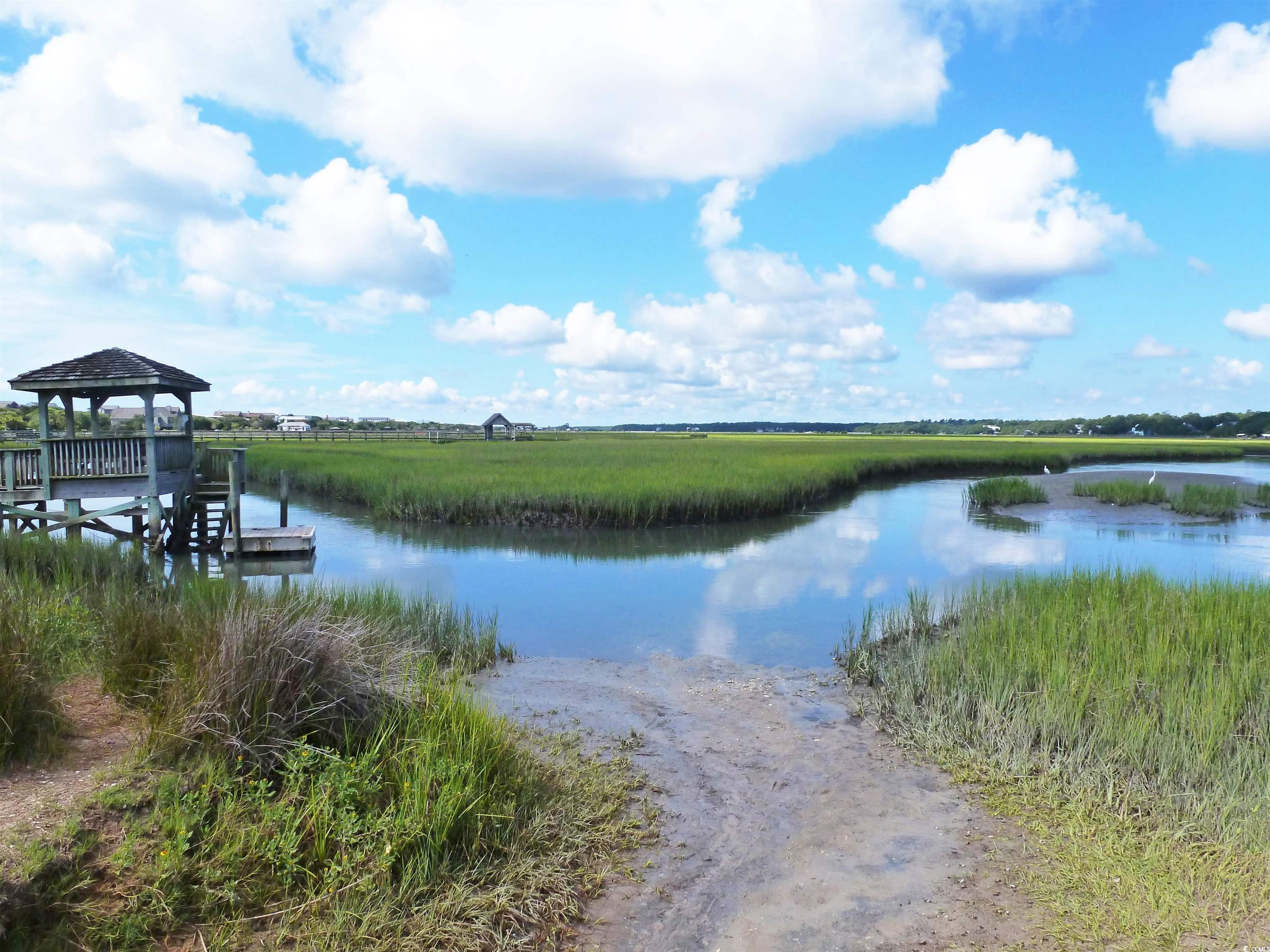 562 Blue Stem Dr. #54Q, Pawleys Island, South Carolina image 24