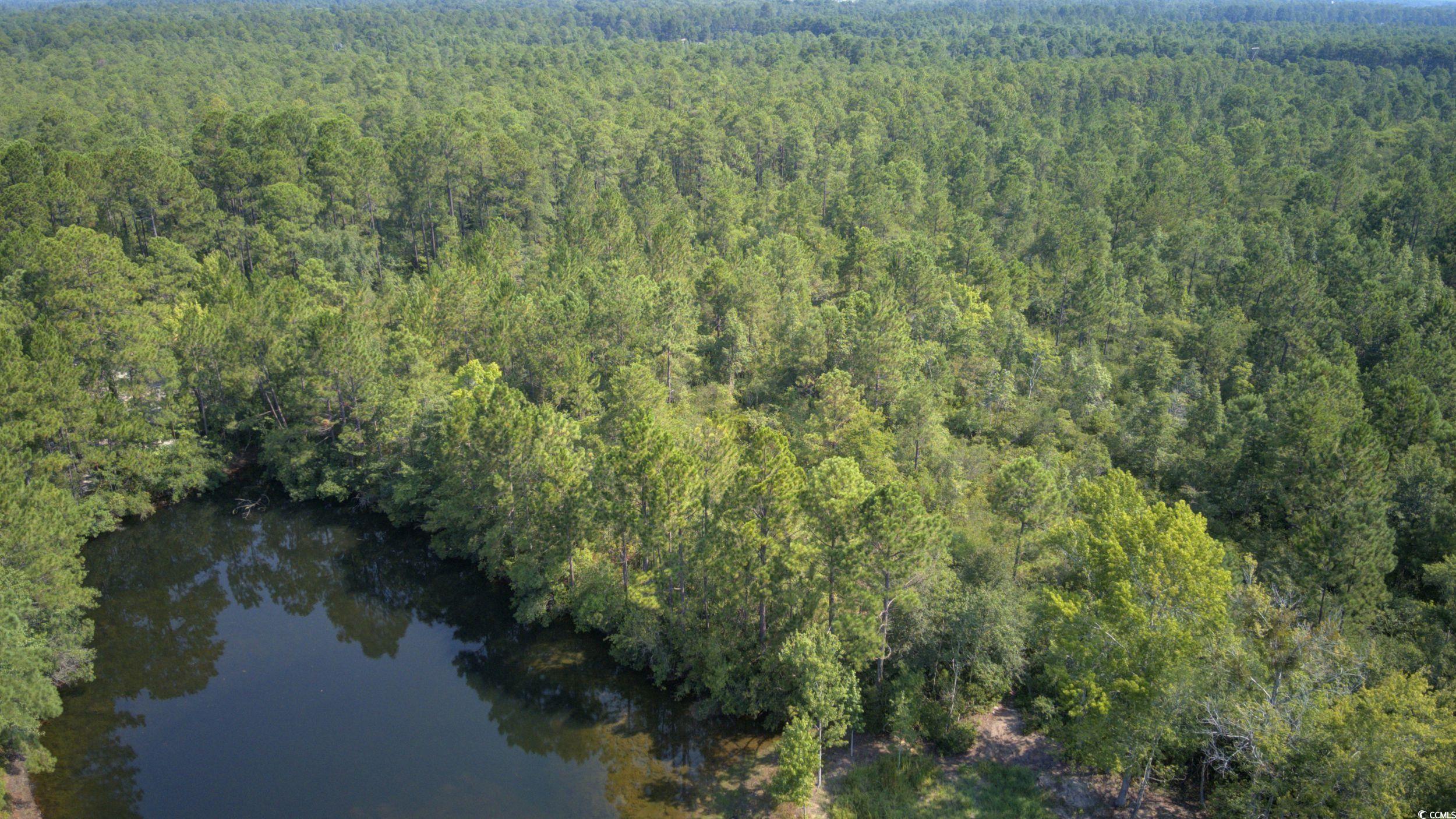 Lot 6 Sea Ray Ln, Latta, South Carolina image 8