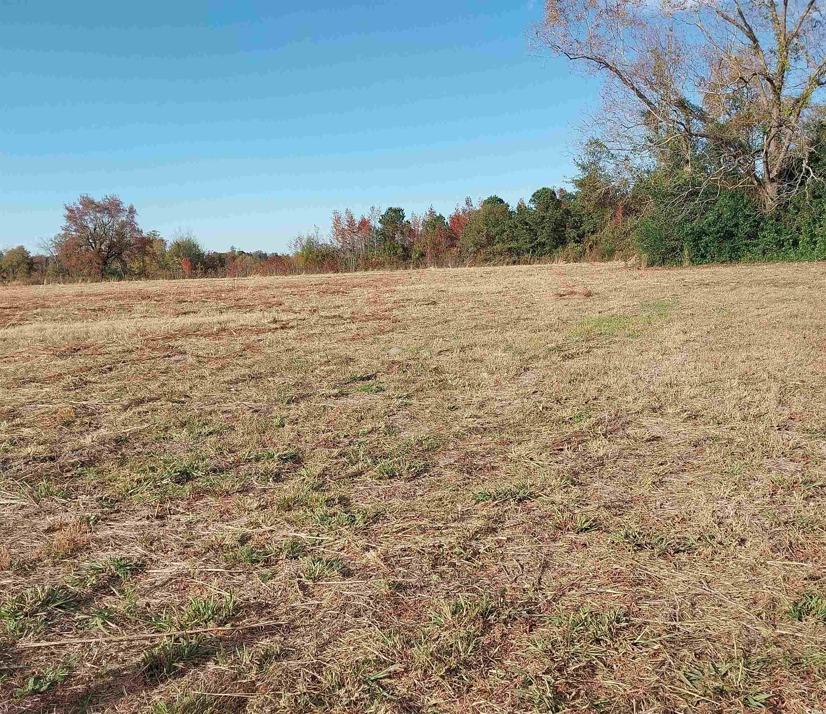 Lot 1 Davis Lane, Mullins, South Carolina image 7