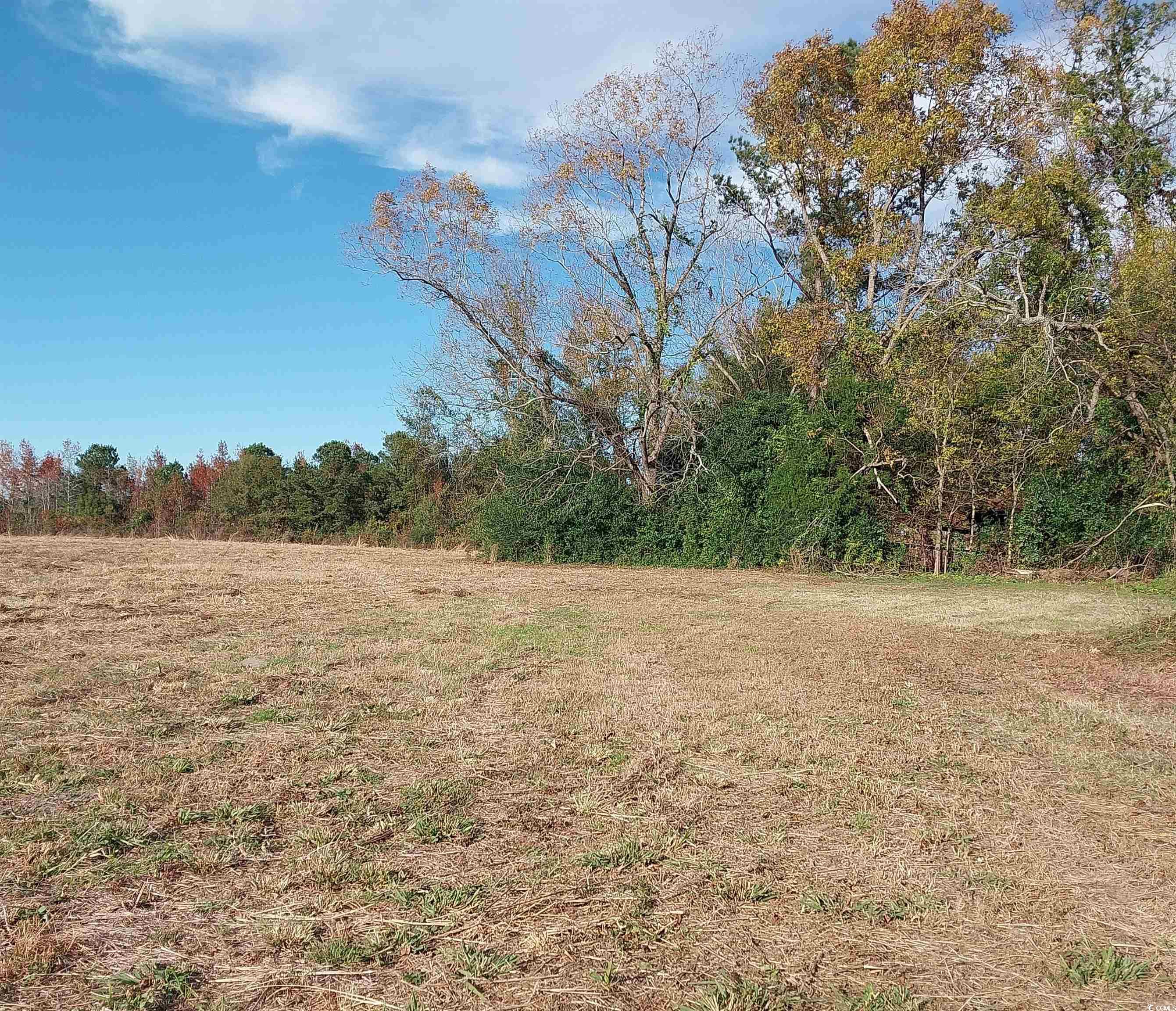 Lot 1 Davis Lane, Mullins, South Carolina image 8