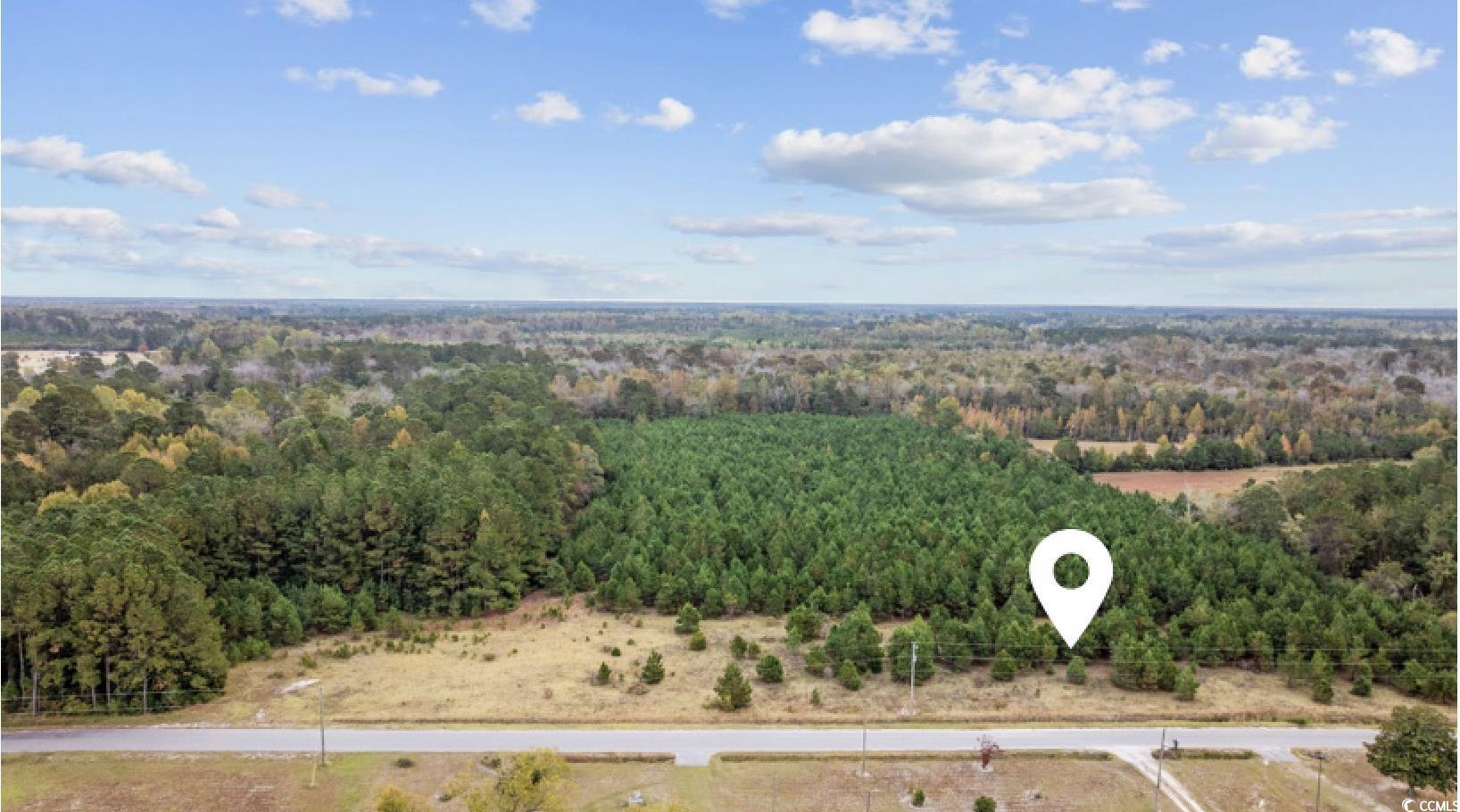 LOT 2 Creek Landing Rd Nichols, SC 29581