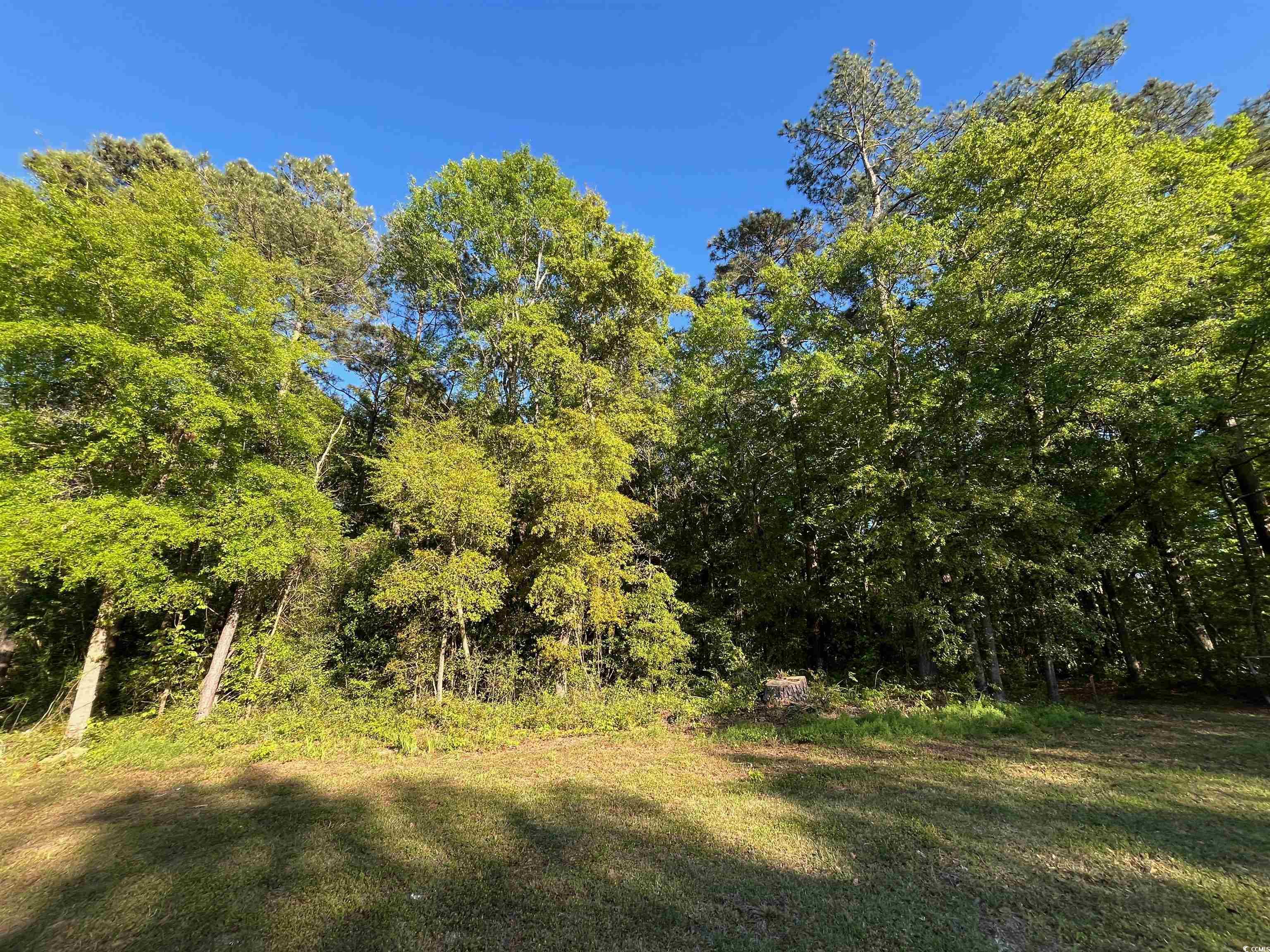 135 Ben Horry Trail, Pawleys Island, South Carolina image 3