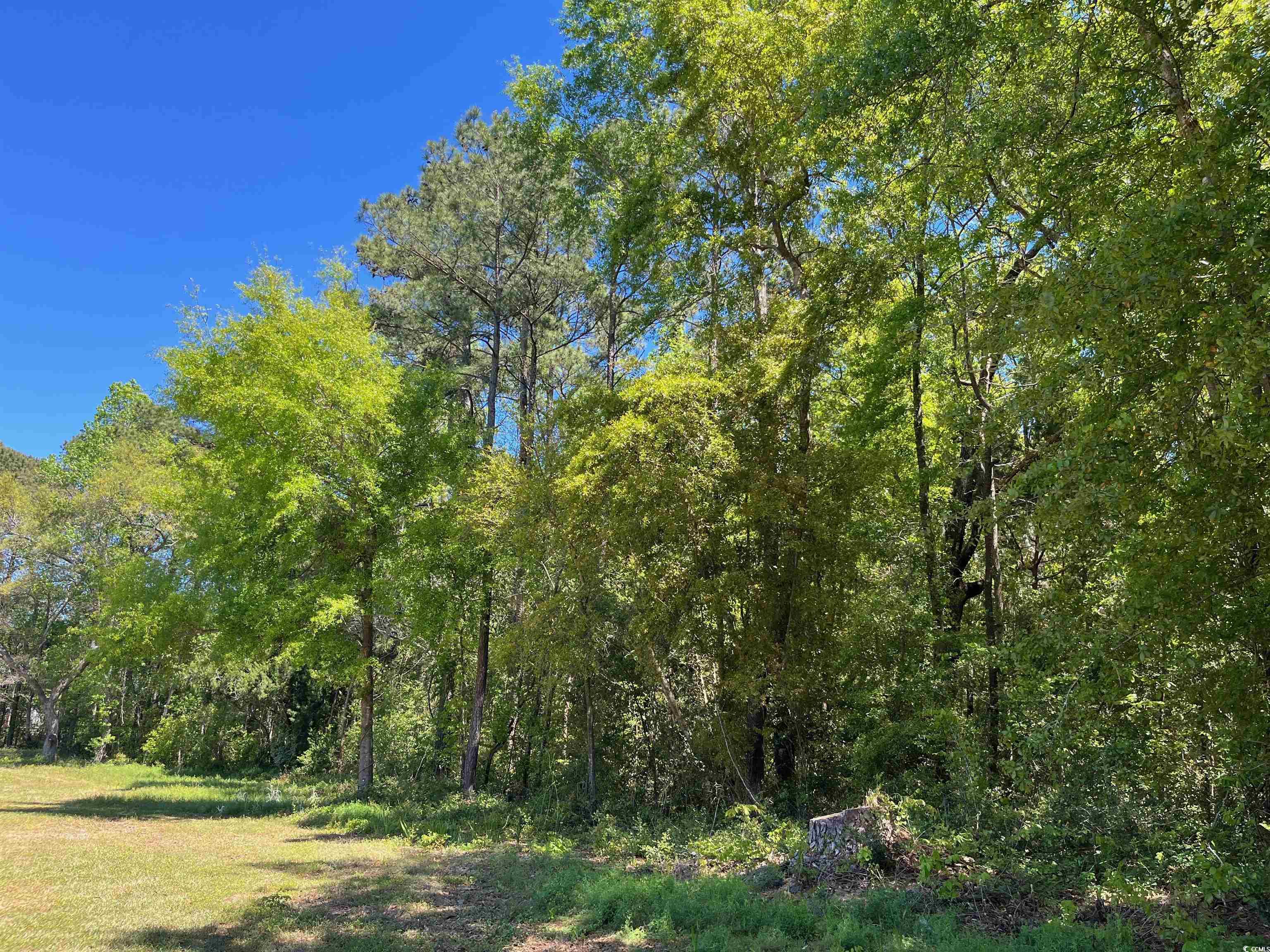 135 Ben Horry Trail, Pawleys Island, South Carolina image 4