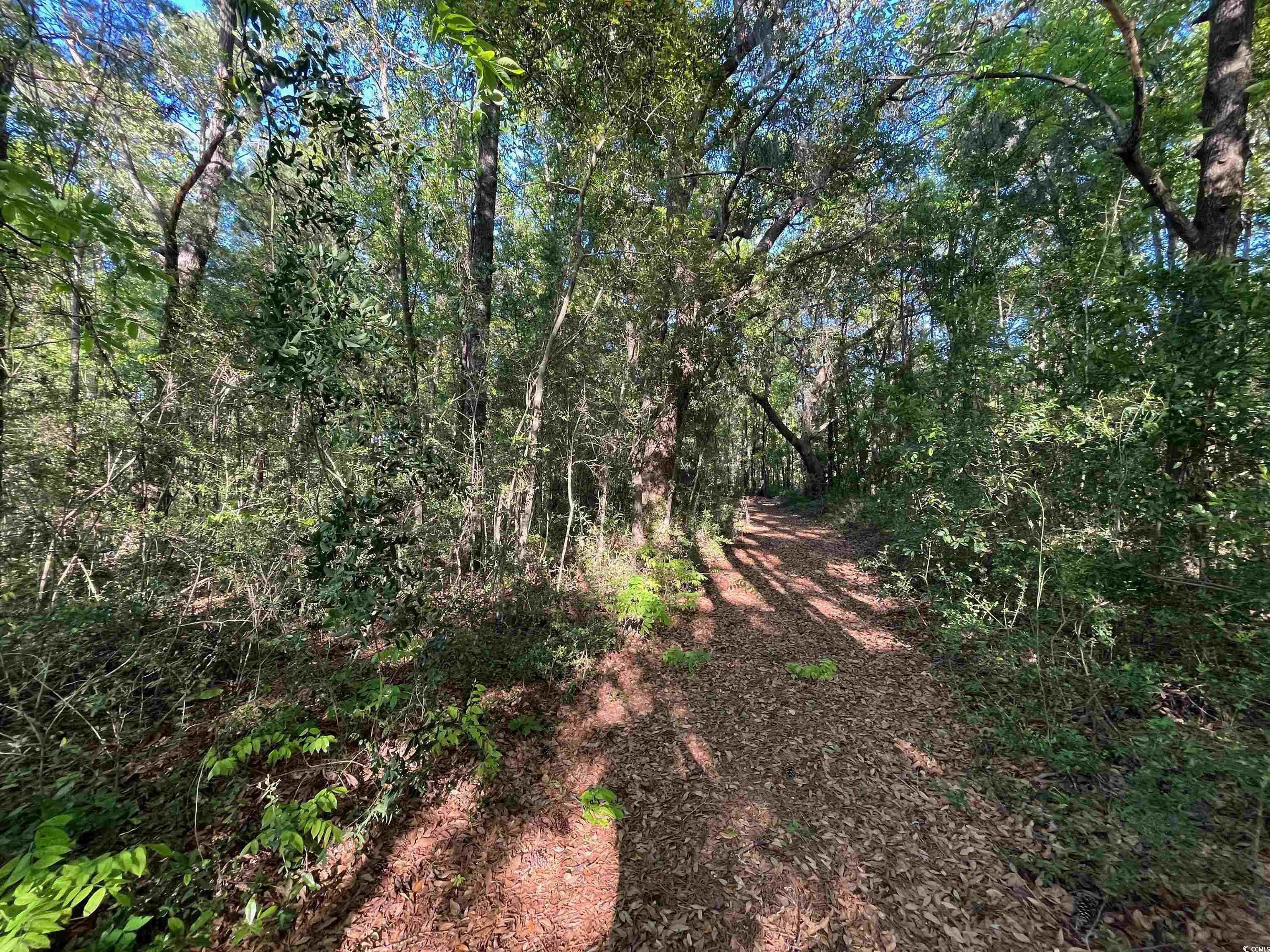 135 Ben Horry Trail, Pawleys Island, South Carolina image 6