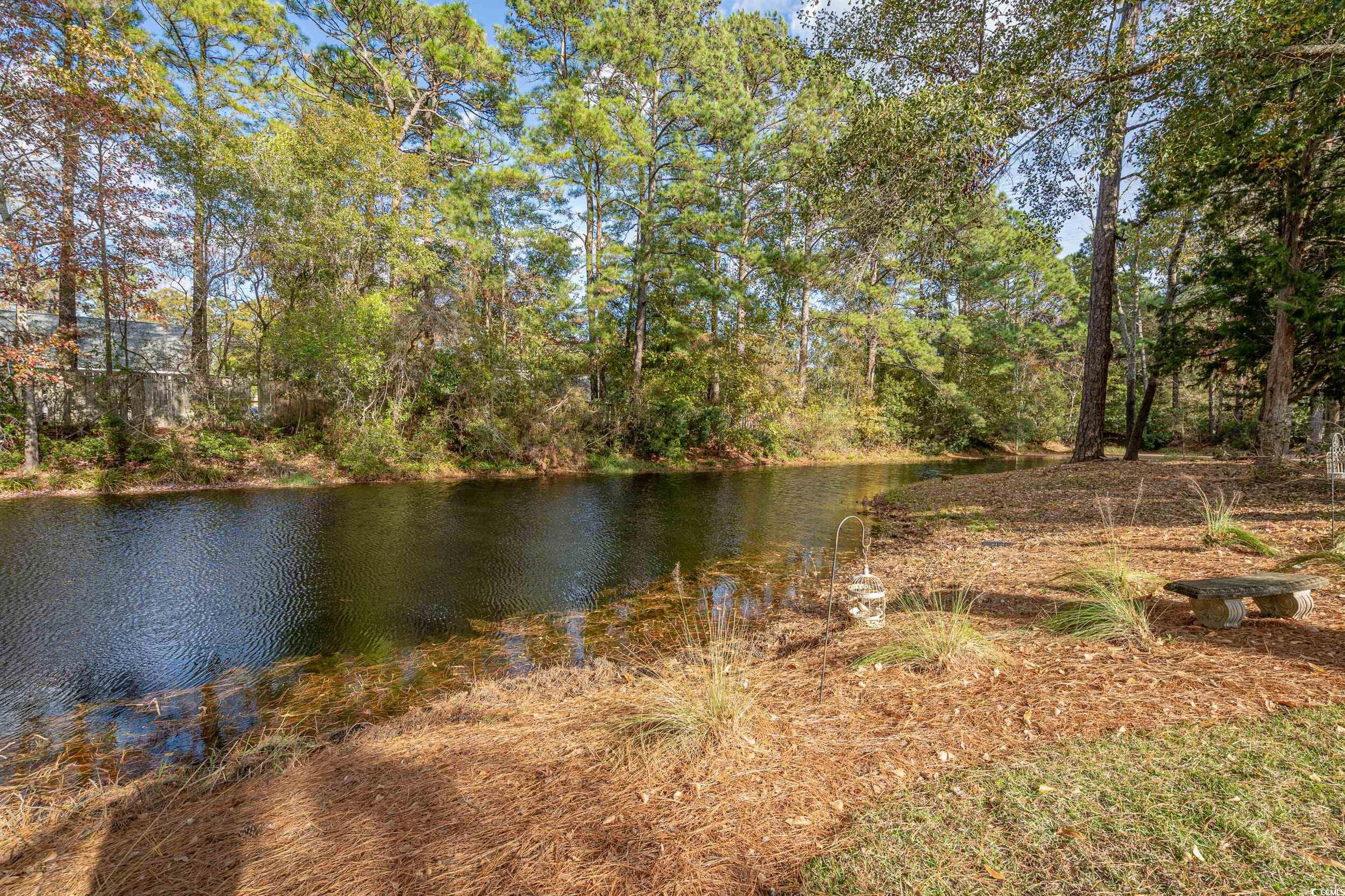 110 Club Circle, Pawleys Island, South Carolina image 33