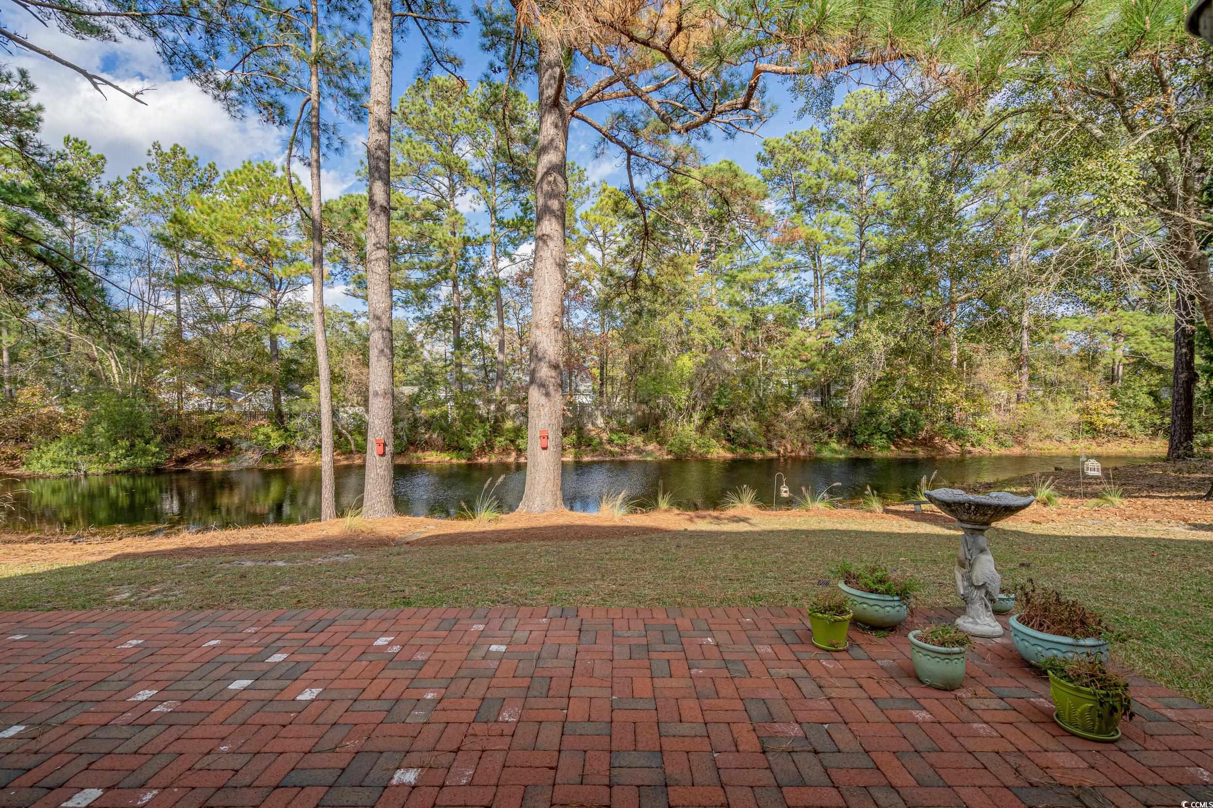 110 Club Circle, Pawleys Island, South Carolina image 34