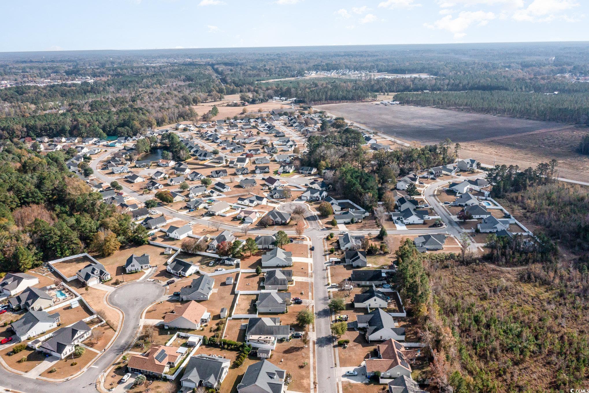 1201 Cocksfoot Ln., Conway, South Carolina image 31