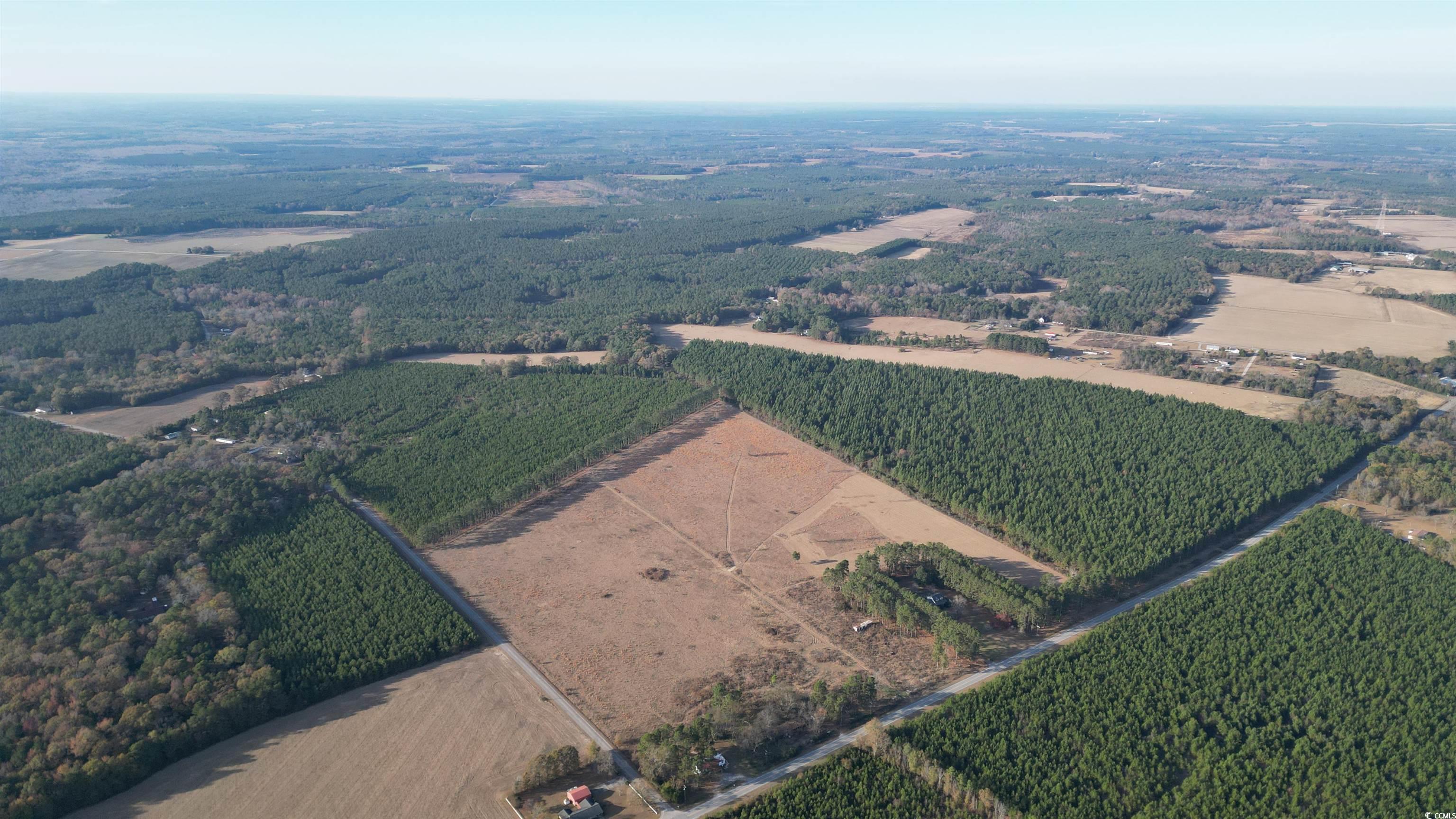 Lot A Hill Rd., Bishopville, South Carolina image 7