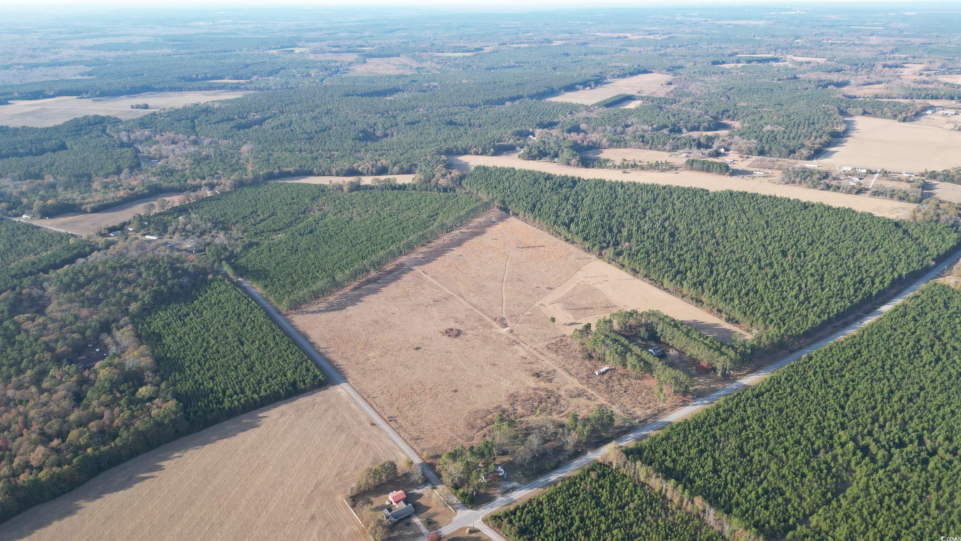 Lot D Hill Rd., Bishopville, South Carolina image 7