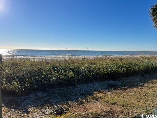 305 Shuffleboard Ct., Myrtle Beach, South Carolina image 39