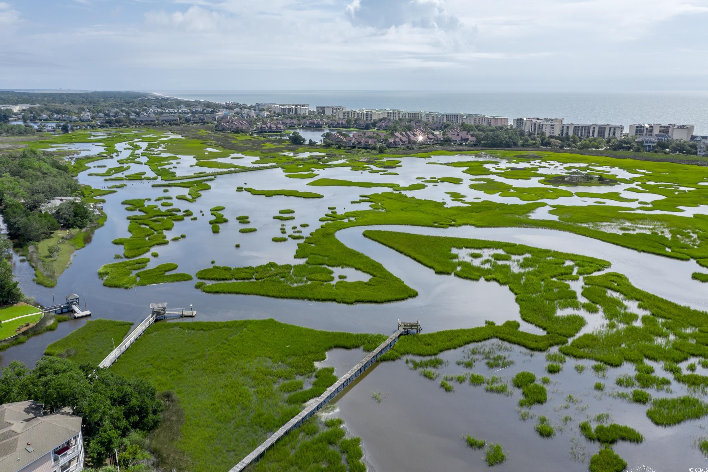 1822 Club Circle, Pawleys Island, South Carolina image 33