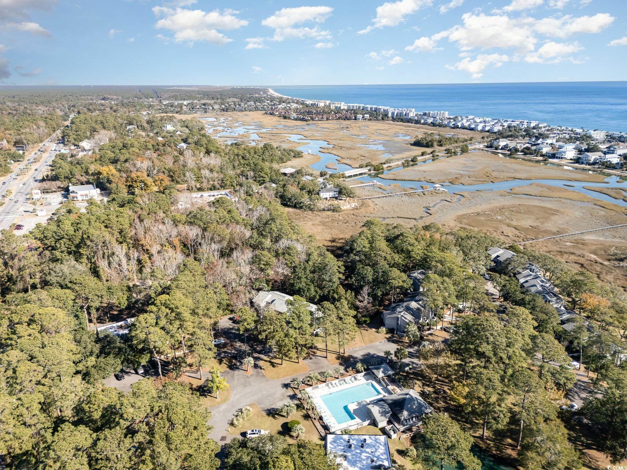 358 Salt Marsh Circle #10D, Pawleys Island, South Carolina image 38