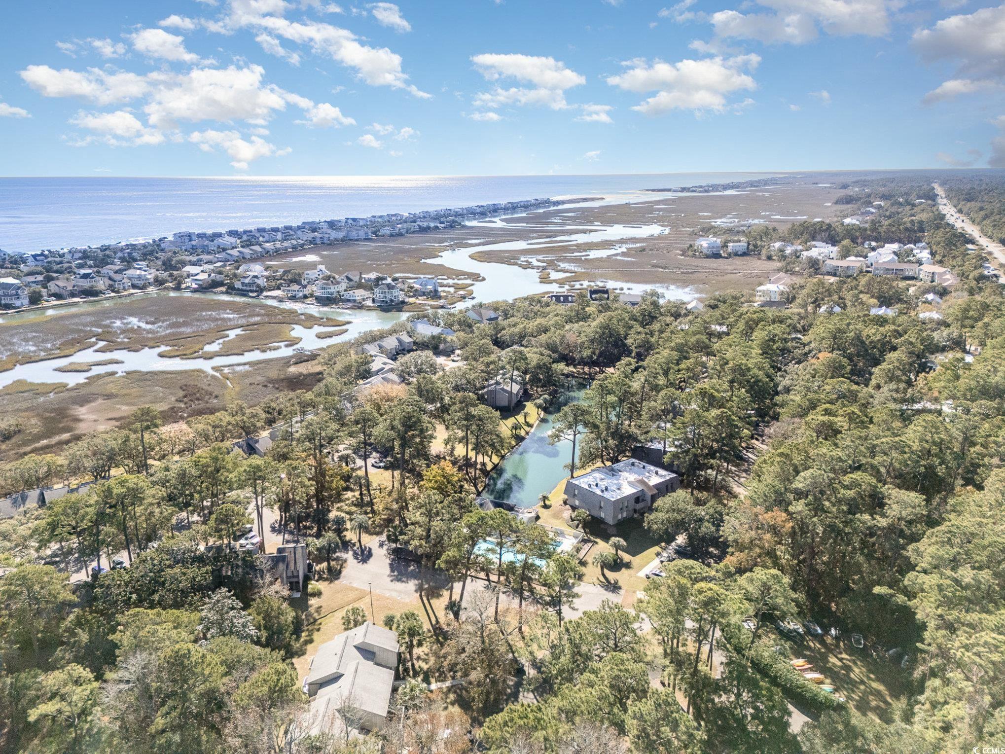 358 Salt Marsh Circle #10D, Pawleys Island, South Carolina image 40