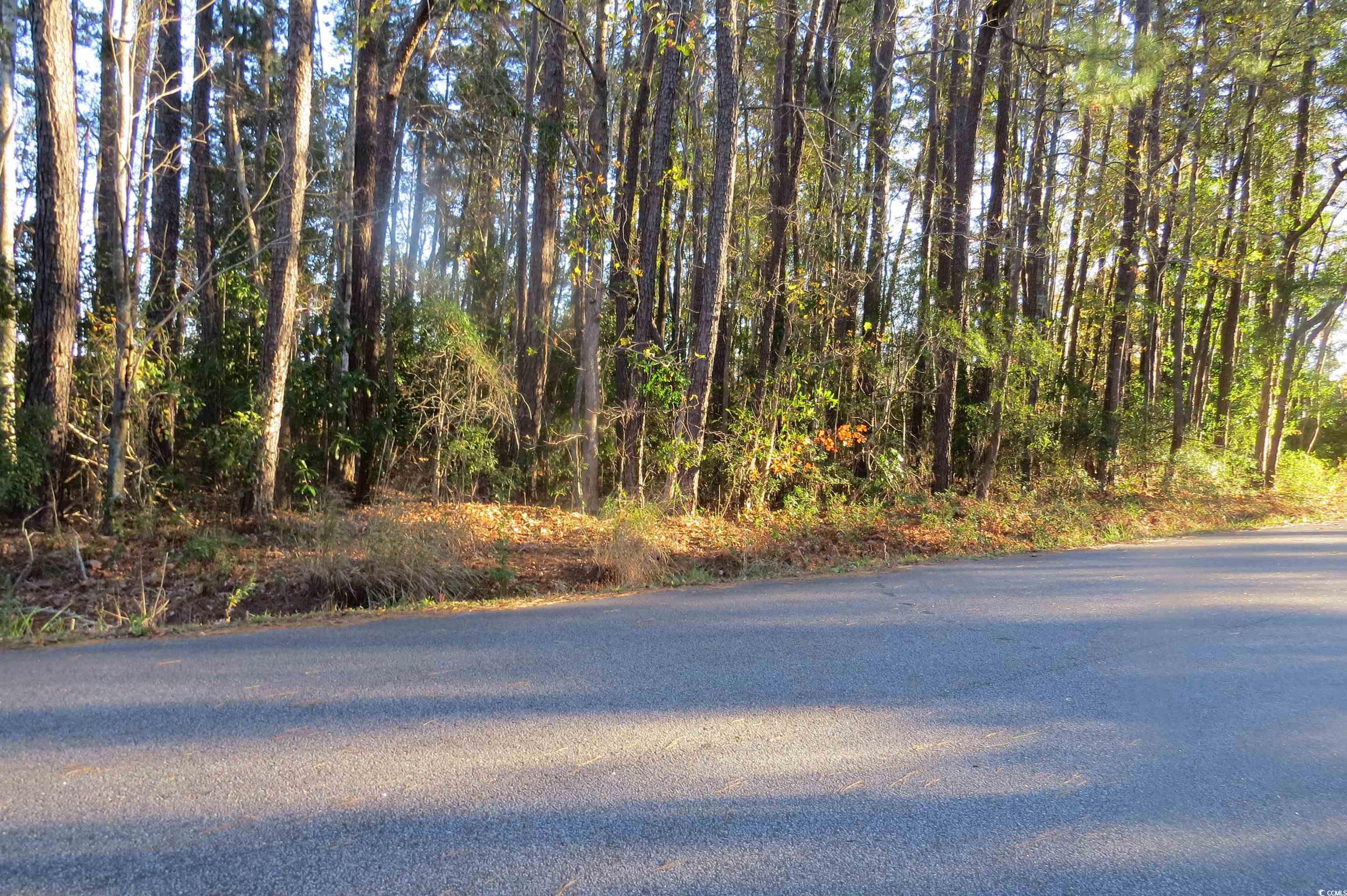 TBD Bethel Rd., Conway, South Carolina image 4