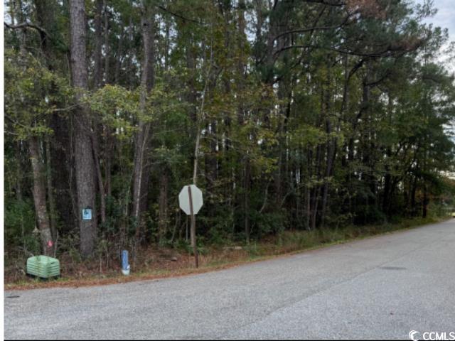 TBD Bethel Rd., Conway, South Carolina image 11