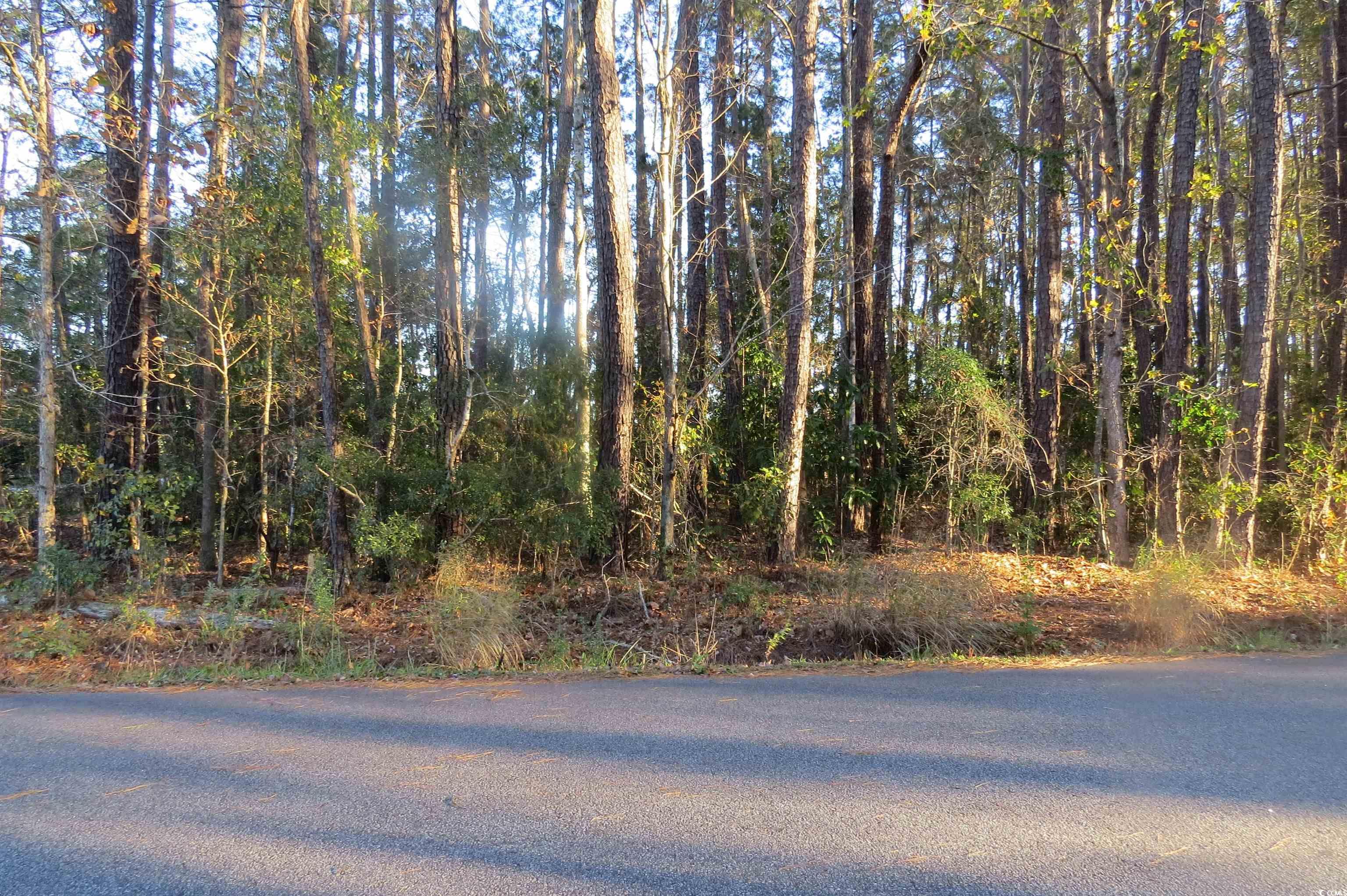 TBD Bethel Rd., Conway, South Carolina image 4