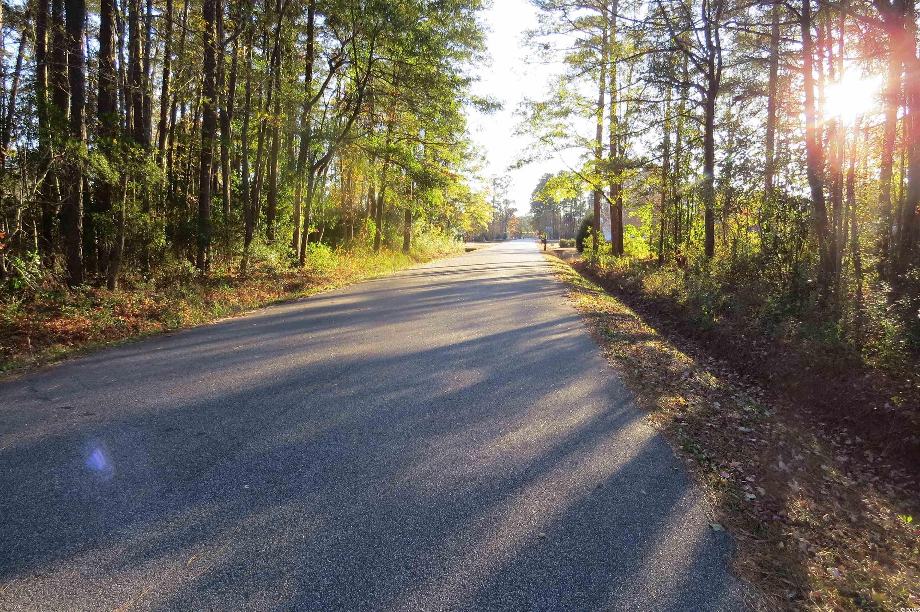 TBD Bethel Rd., Conway, South Carolina image 9