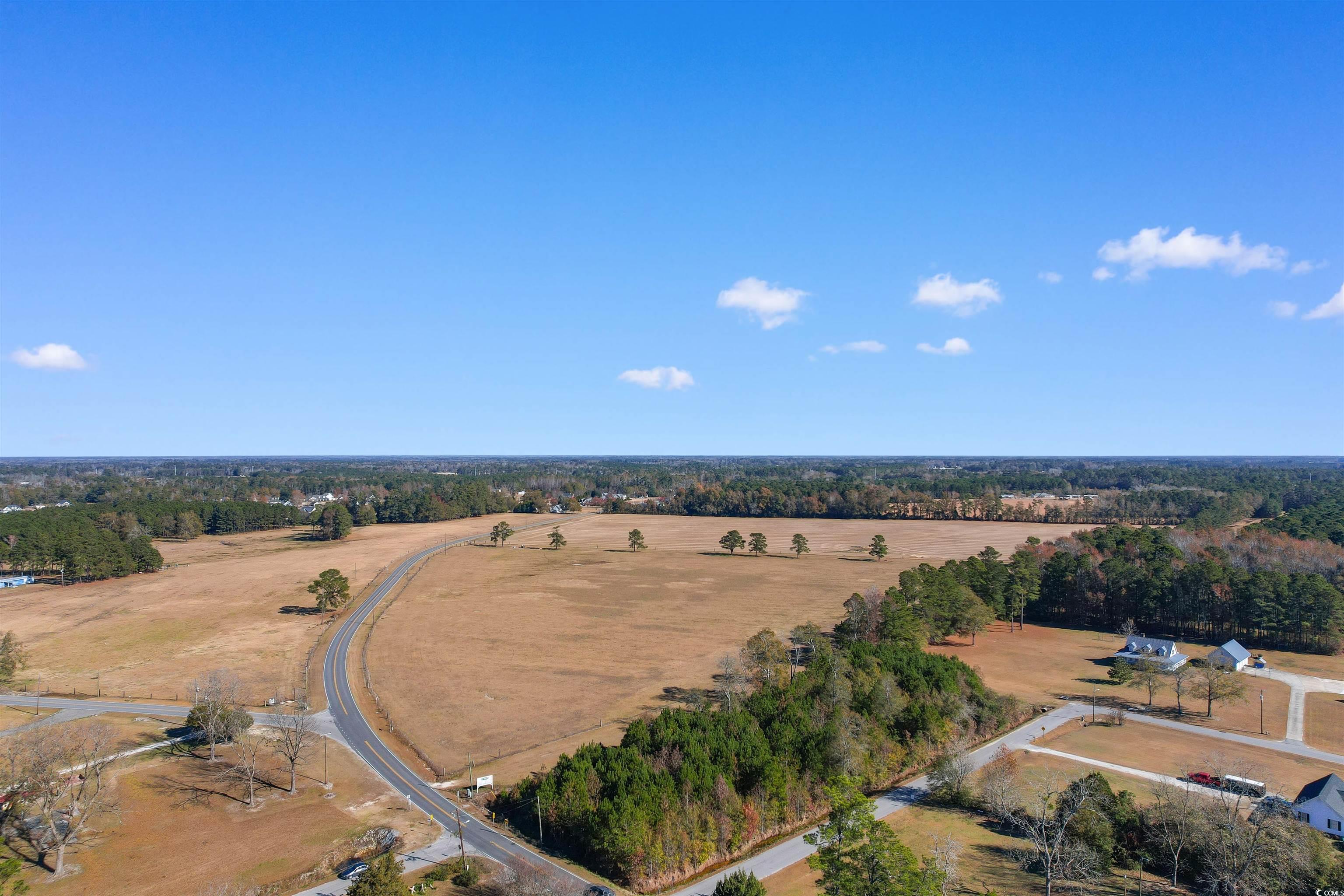 TBD 9th Ave., Galivants Ferry, South Carolina image 19