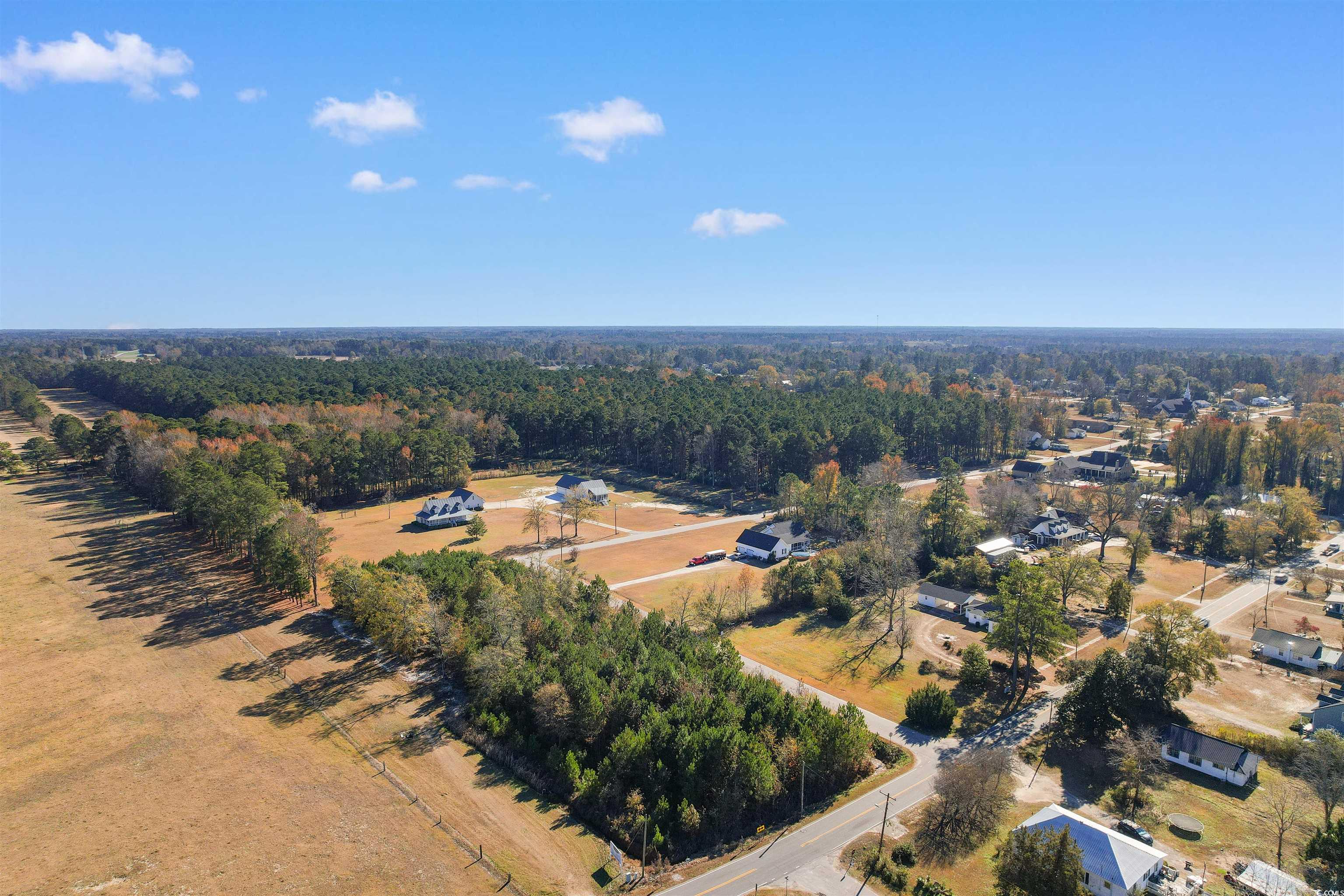 TBD 9th Ave., Galivants Ferry, South Carolina image 8