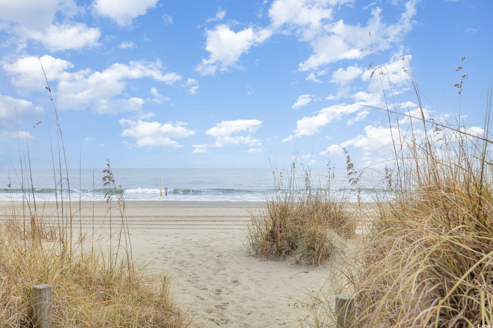 2405 S Ocean Blvd. #207, North Myrtle Beach, South Carolina image 30