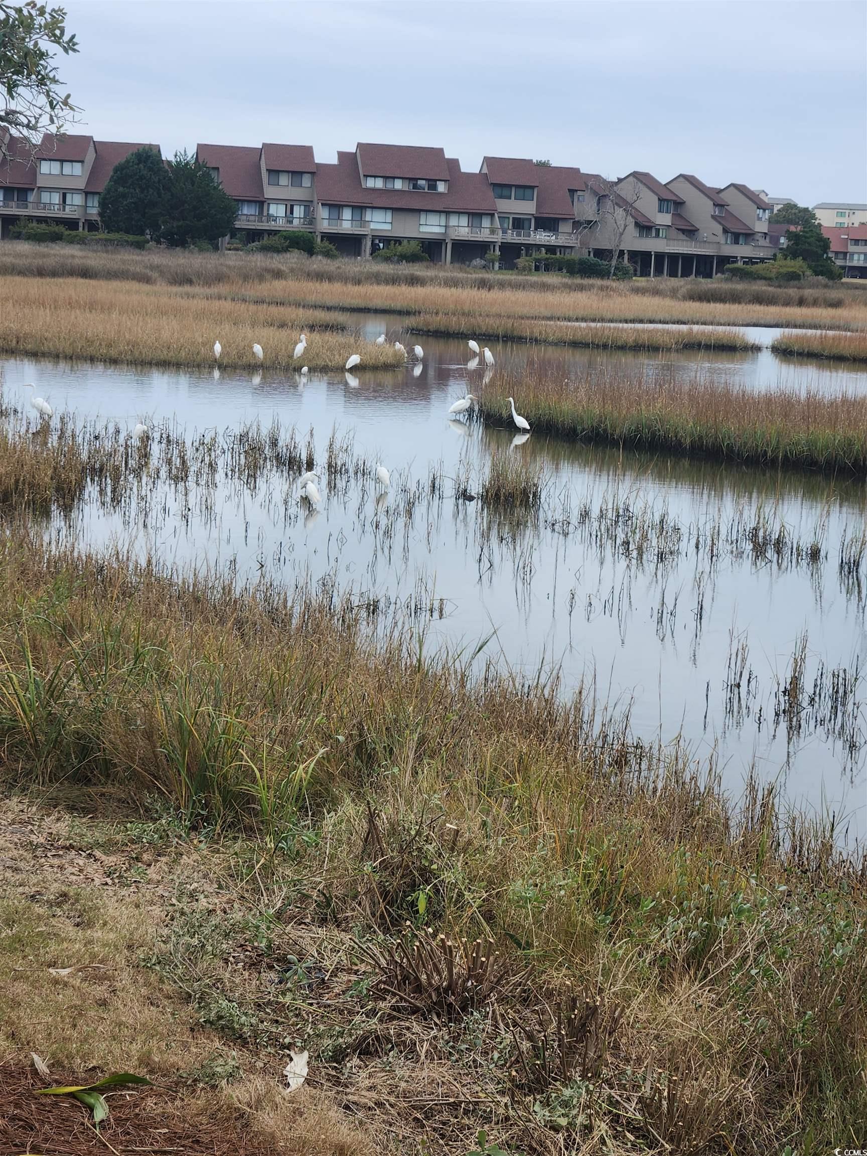 371 S Dunes Dr., Pawleys Island, South Carolina image 23