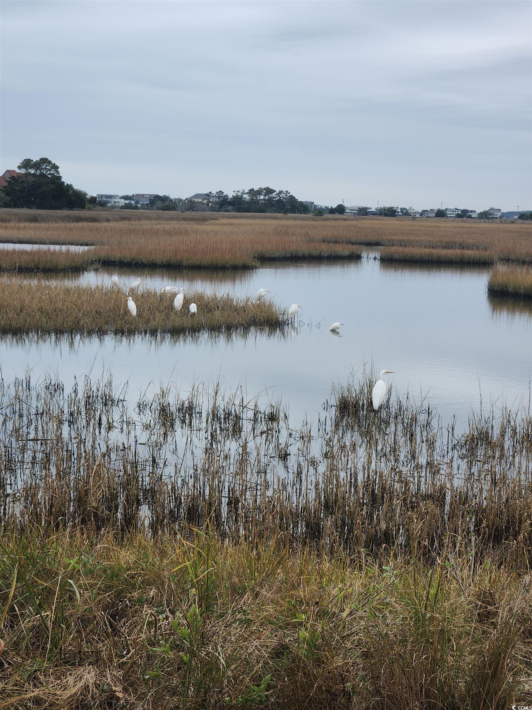 371 S Dunes Dr., Pawleys Island, South Carolina image 24