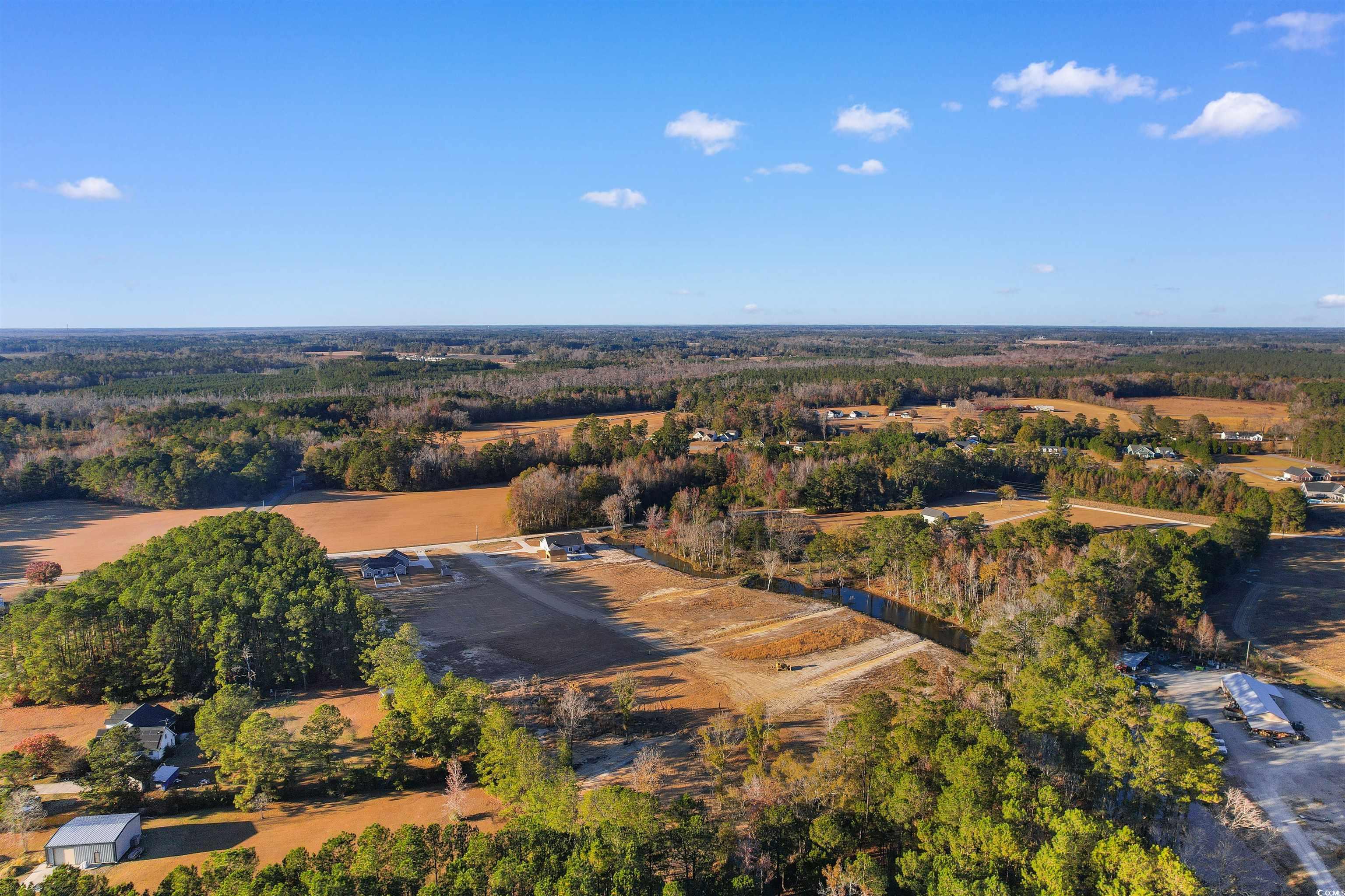 TBD Hodges Rd., Conway, South Carolina image 4